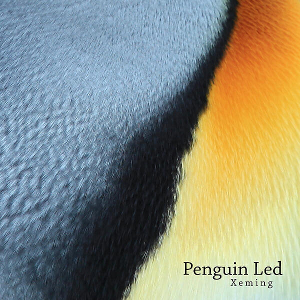 Релиз Penguin Led