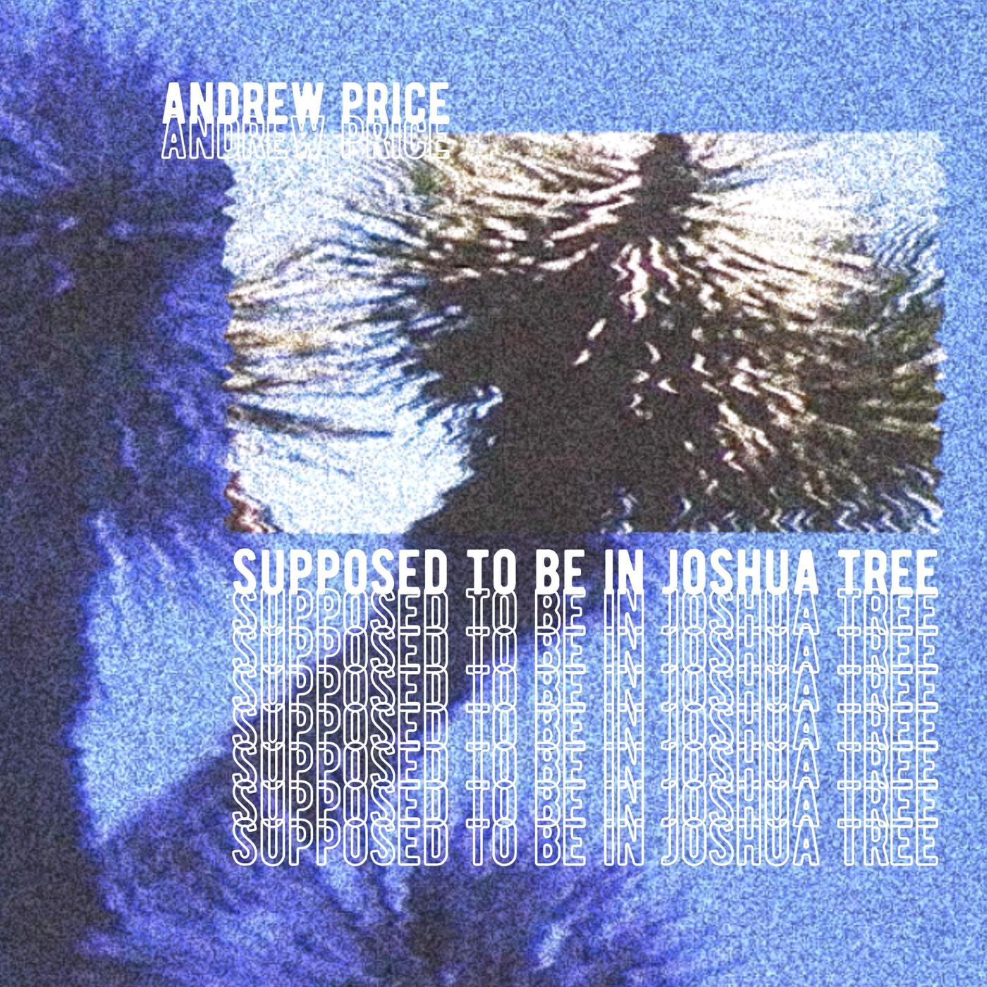 Релиз Supposed to Be in Joshua Tree