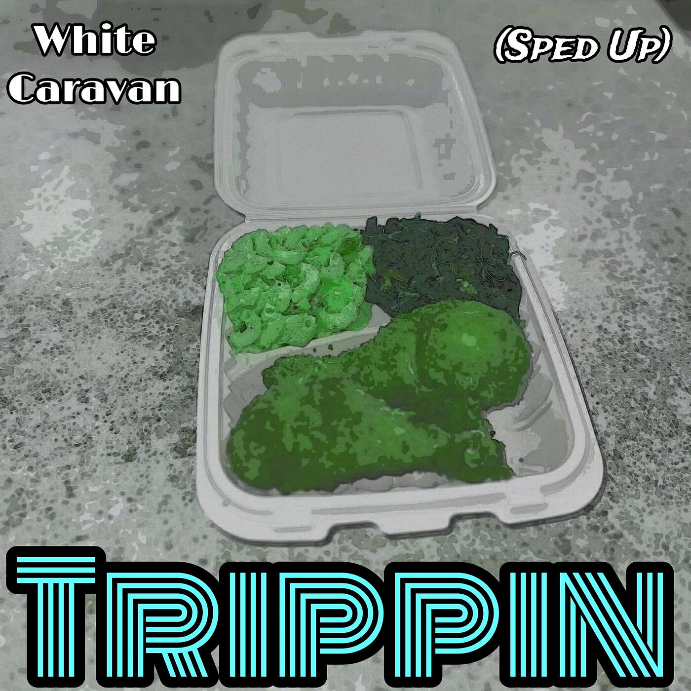 White Caravan