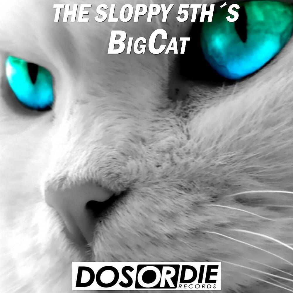 Релиз Big Cat