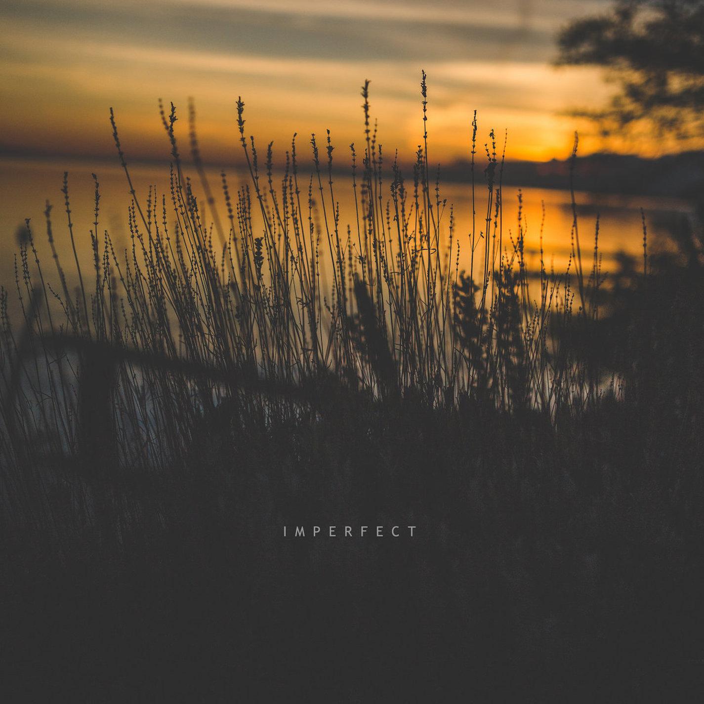 Релиз Vivify