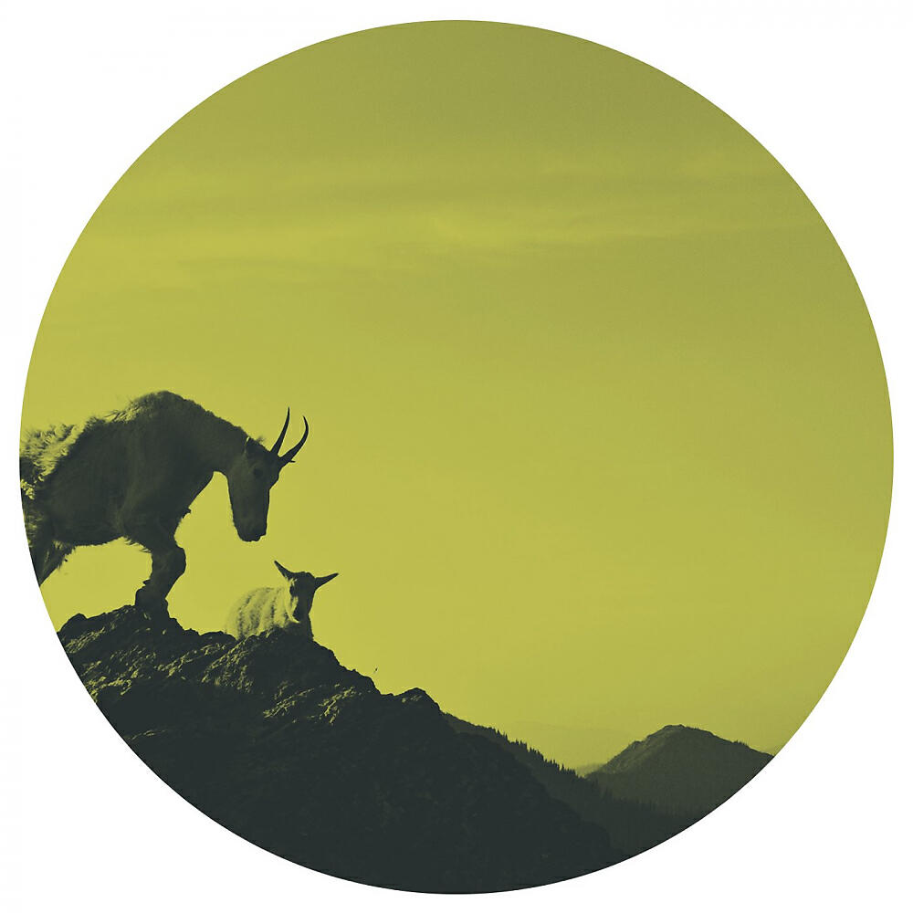 Релиз Still Hold Your Vision In My Mind EP