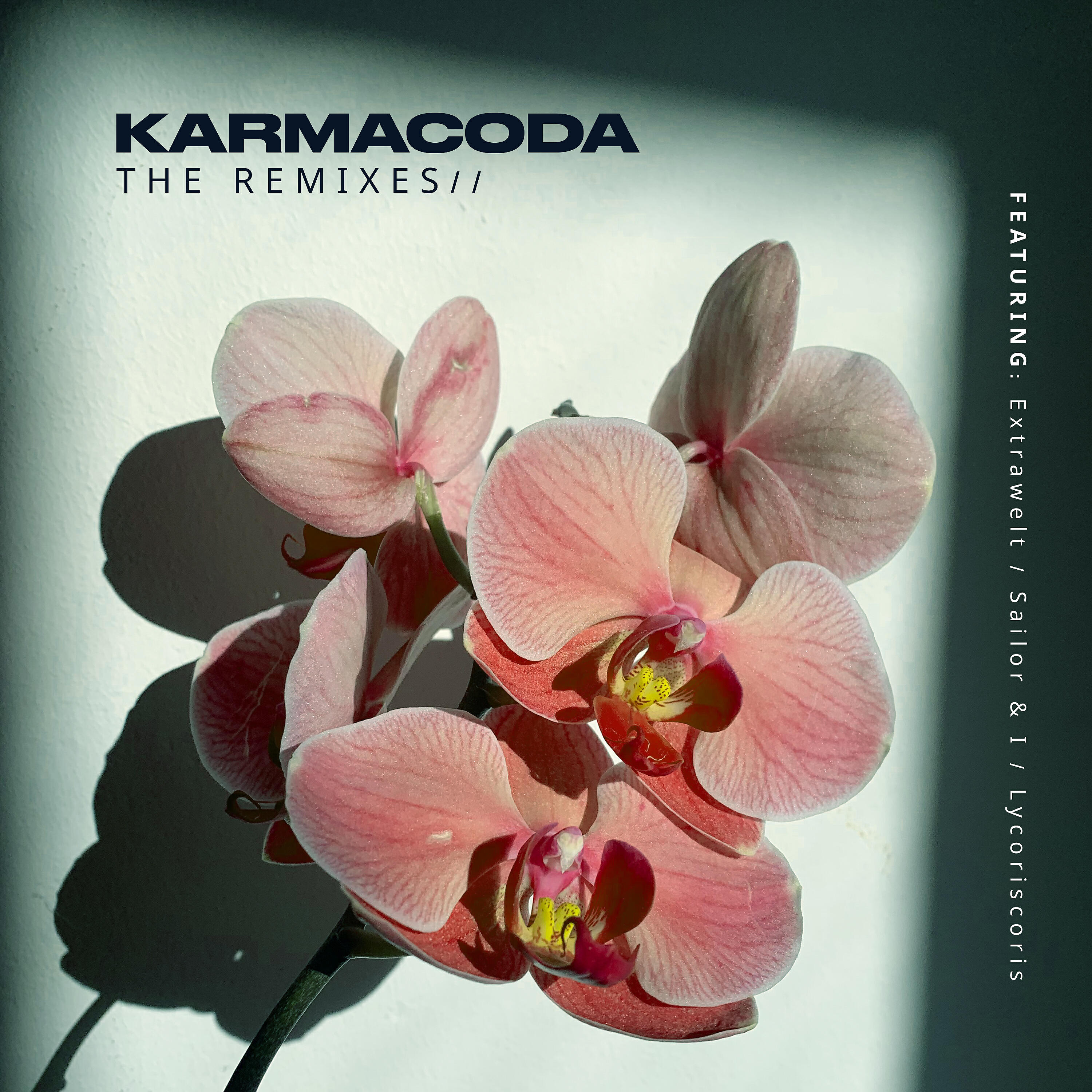 Релиз Remixes EP