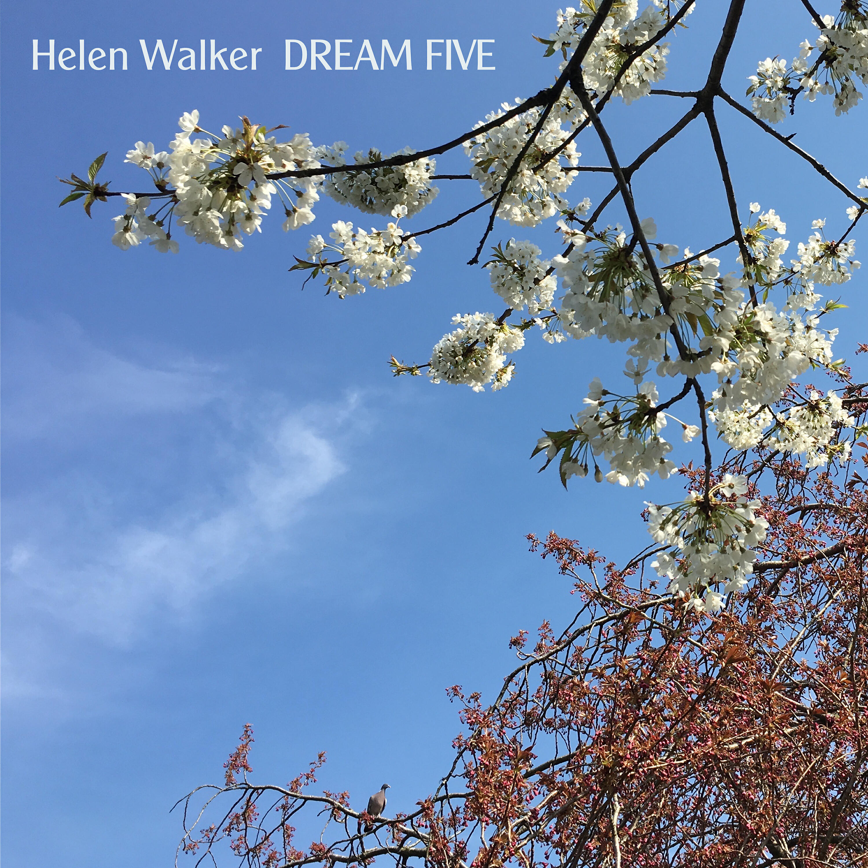 Релиз Dream Five - Single