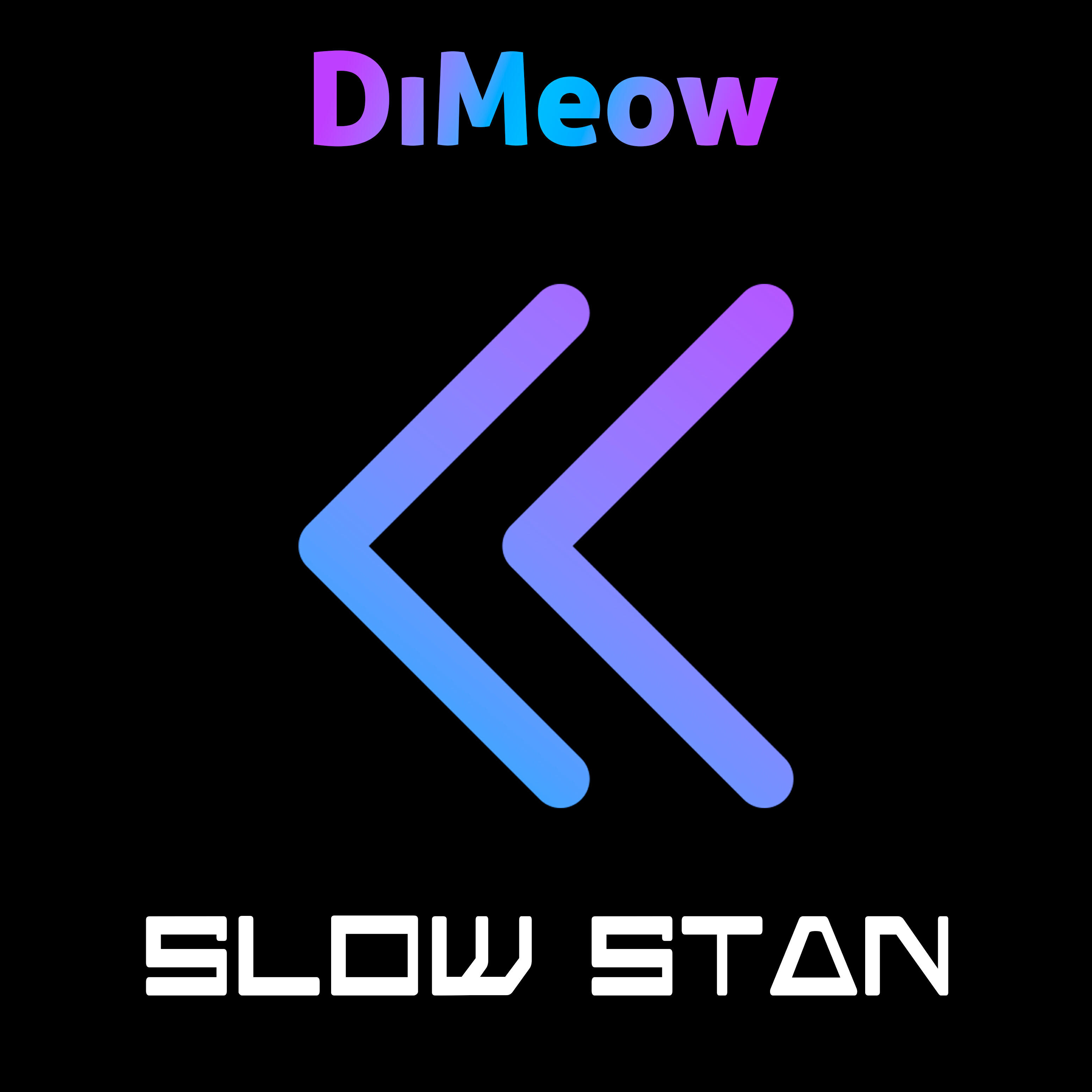 Релиз Slow Stan