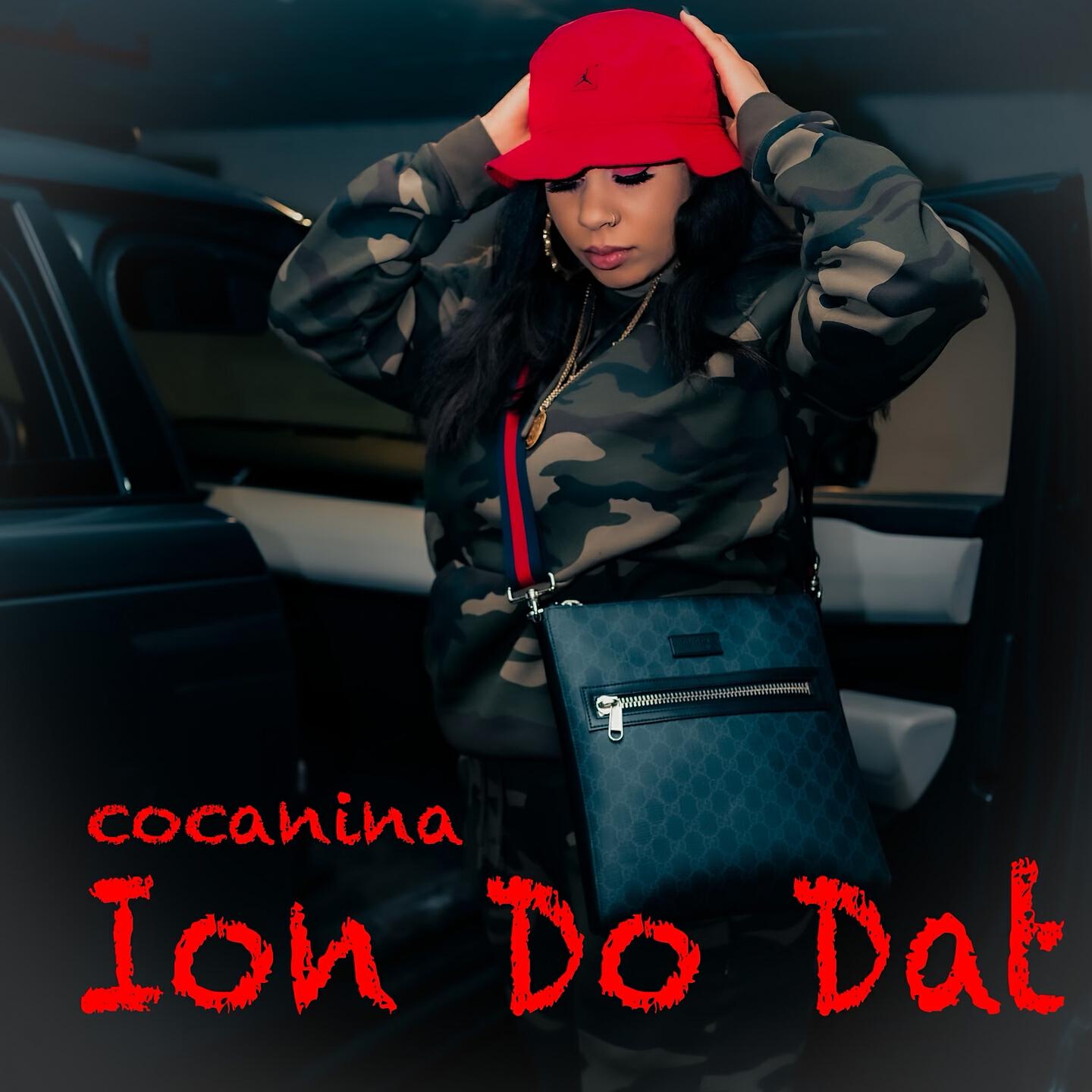 Релиз Ion Do Dat