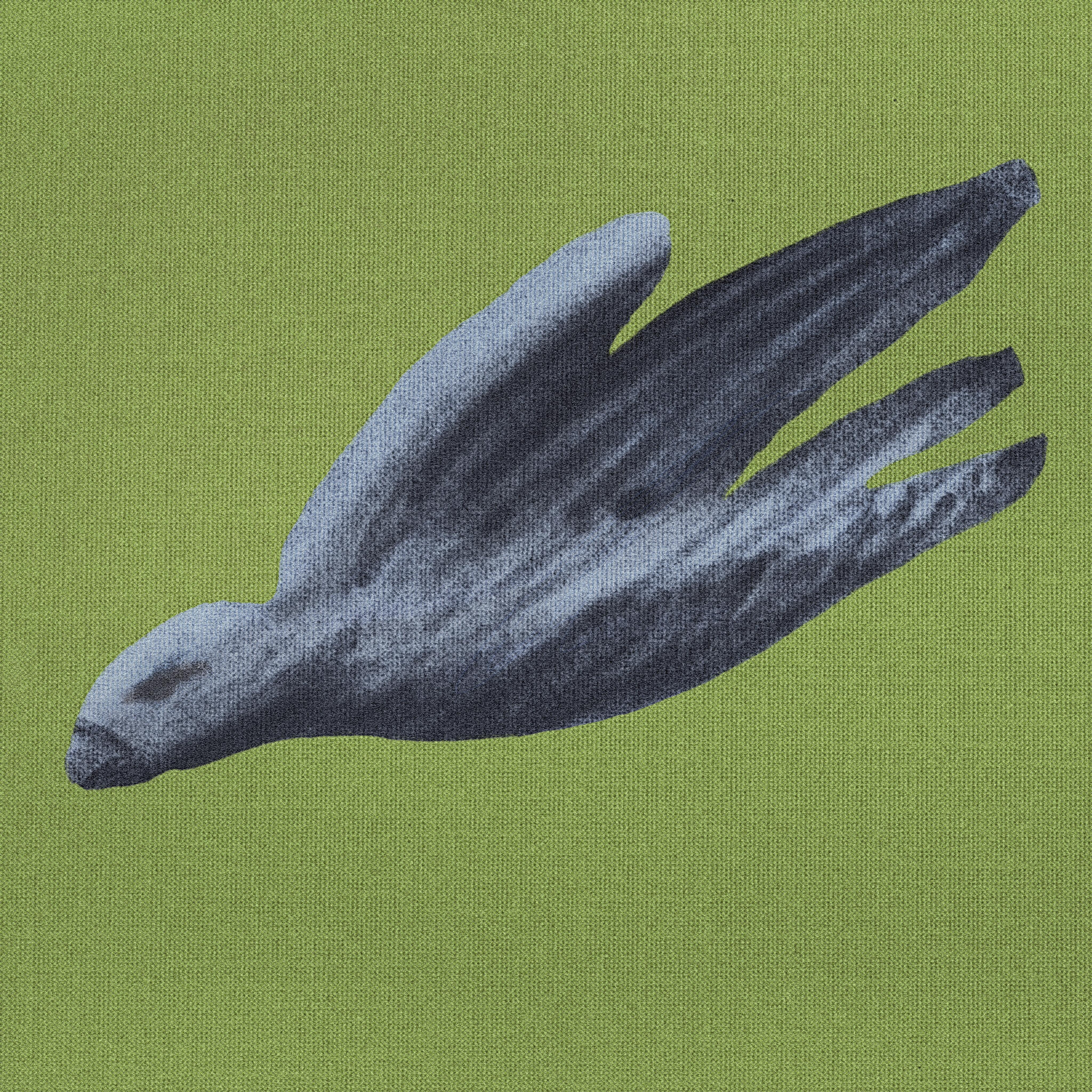 Релиз The Ants / Italia '06