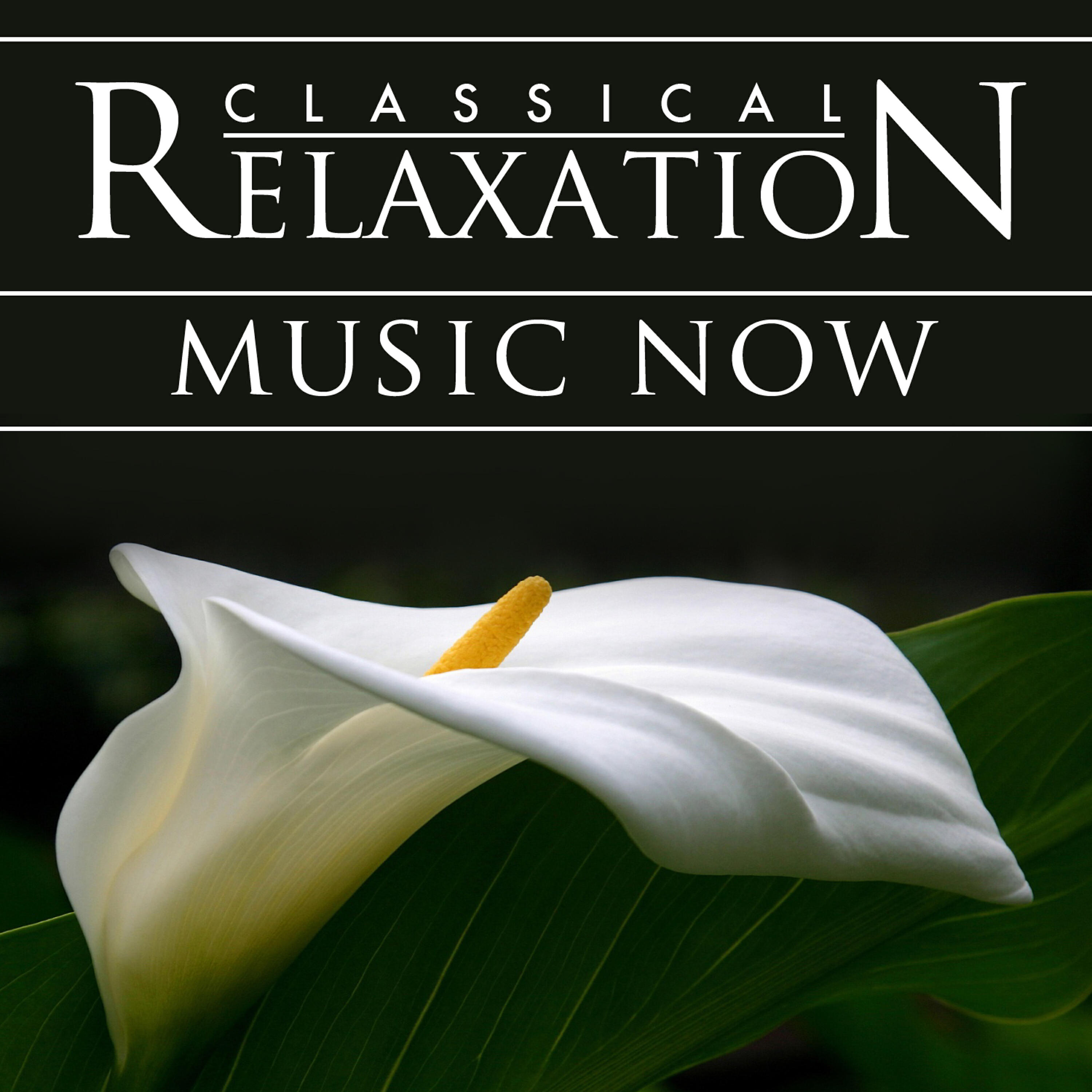 Релиз Classical Relaxation Music Now! Modern Hit Songs Go Orchestral