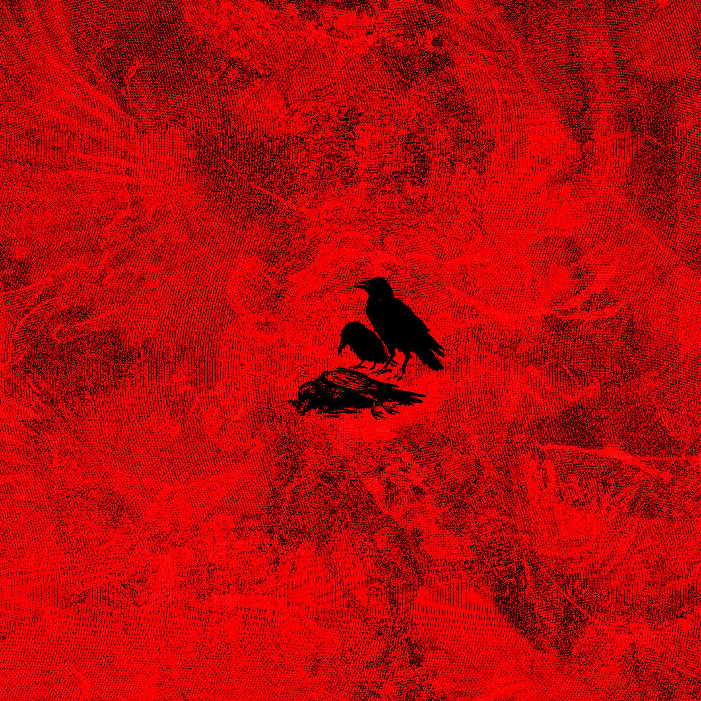 Релиз DRACULA