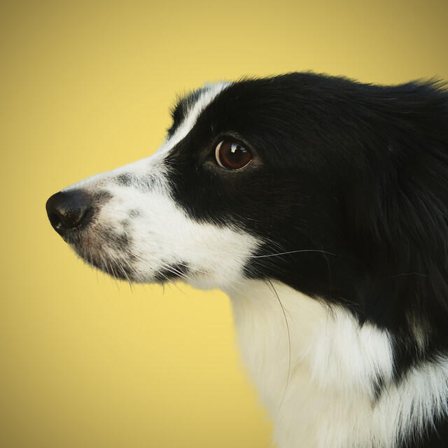 Релиз BOY FOREVER