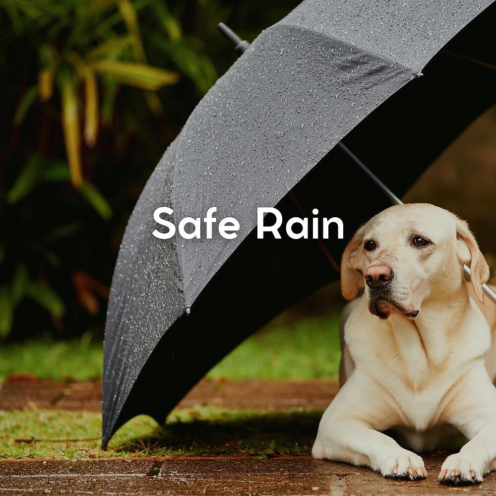 Релиз Safe Rain