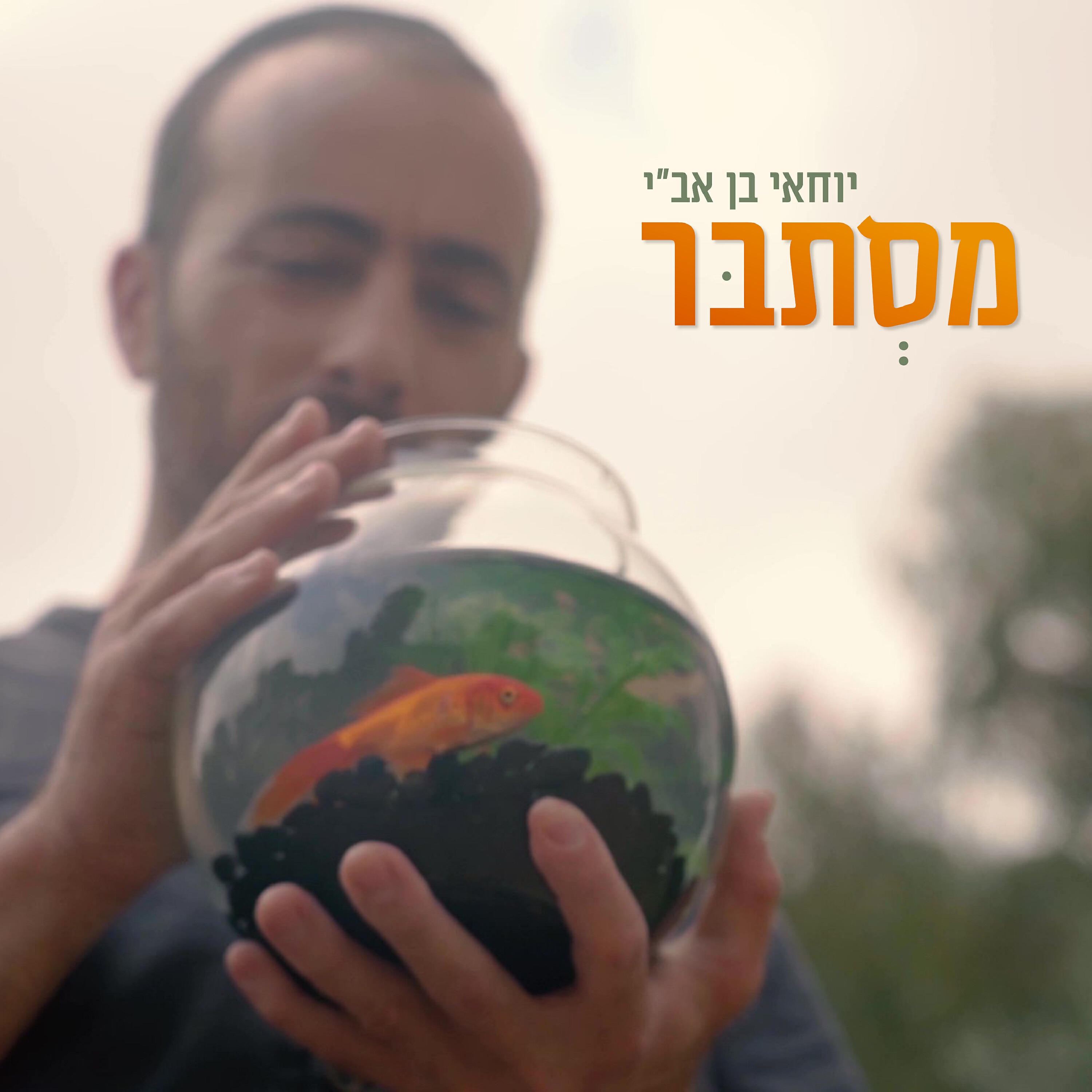Релиз מסתבר