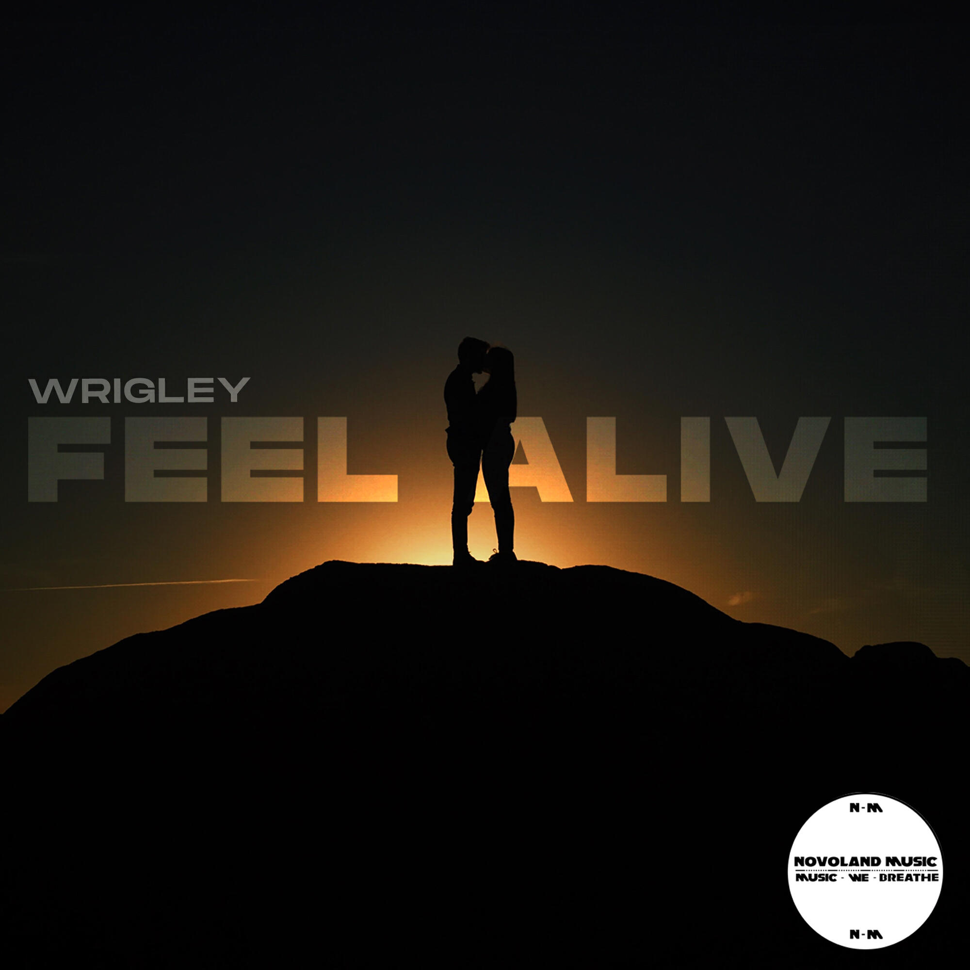 Релиз Feel Alive