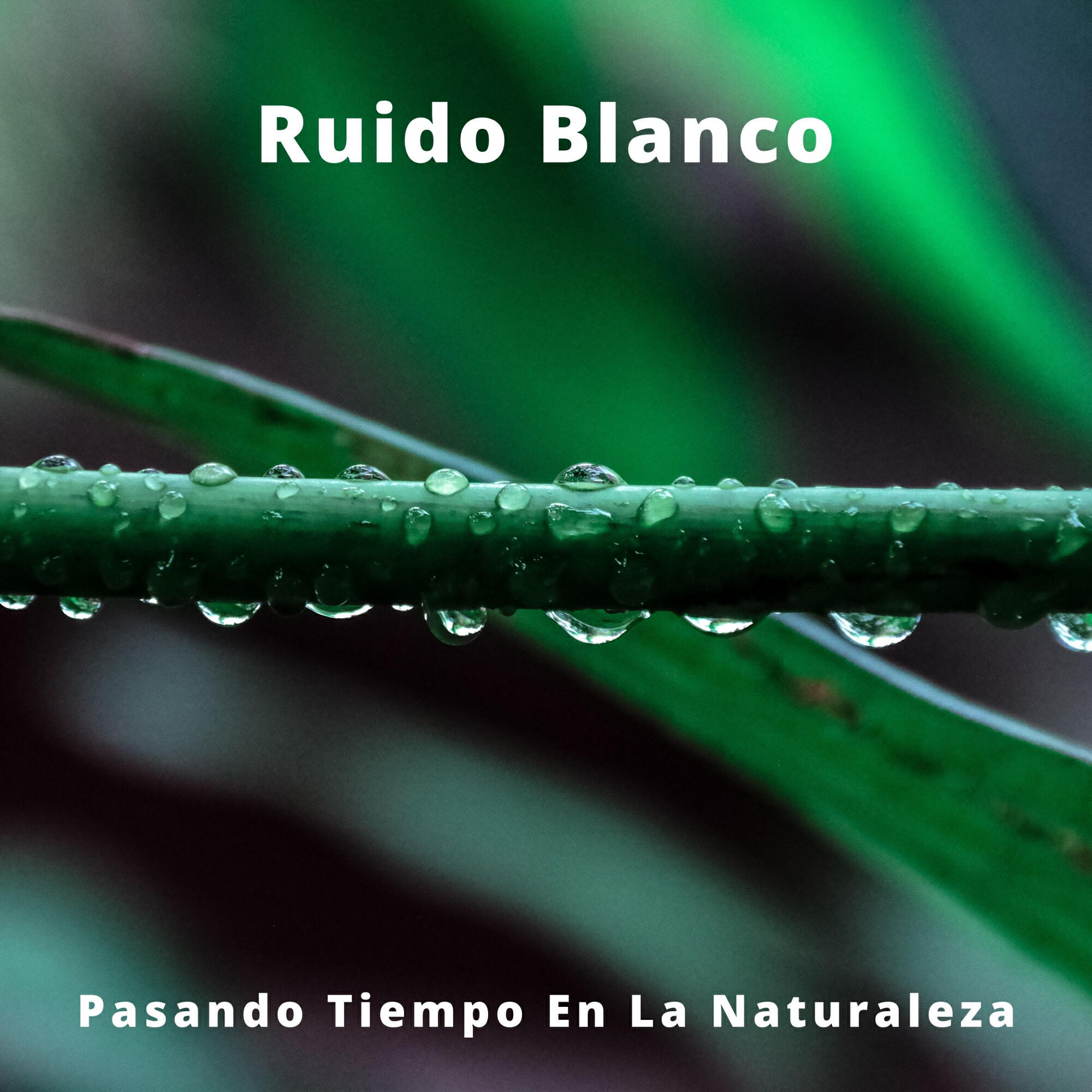 Релиз Ruido Blanco: Pasando Tiempo En La Naturaleza