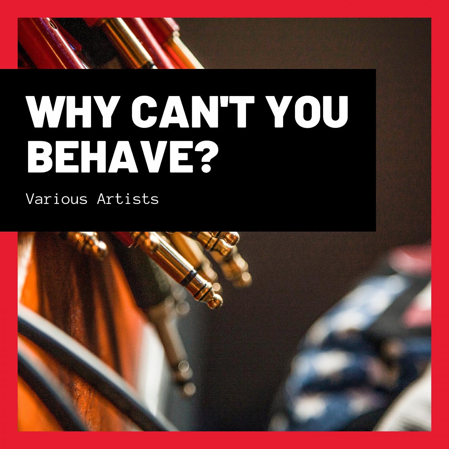 Постер альбома Why Can't You Behave?