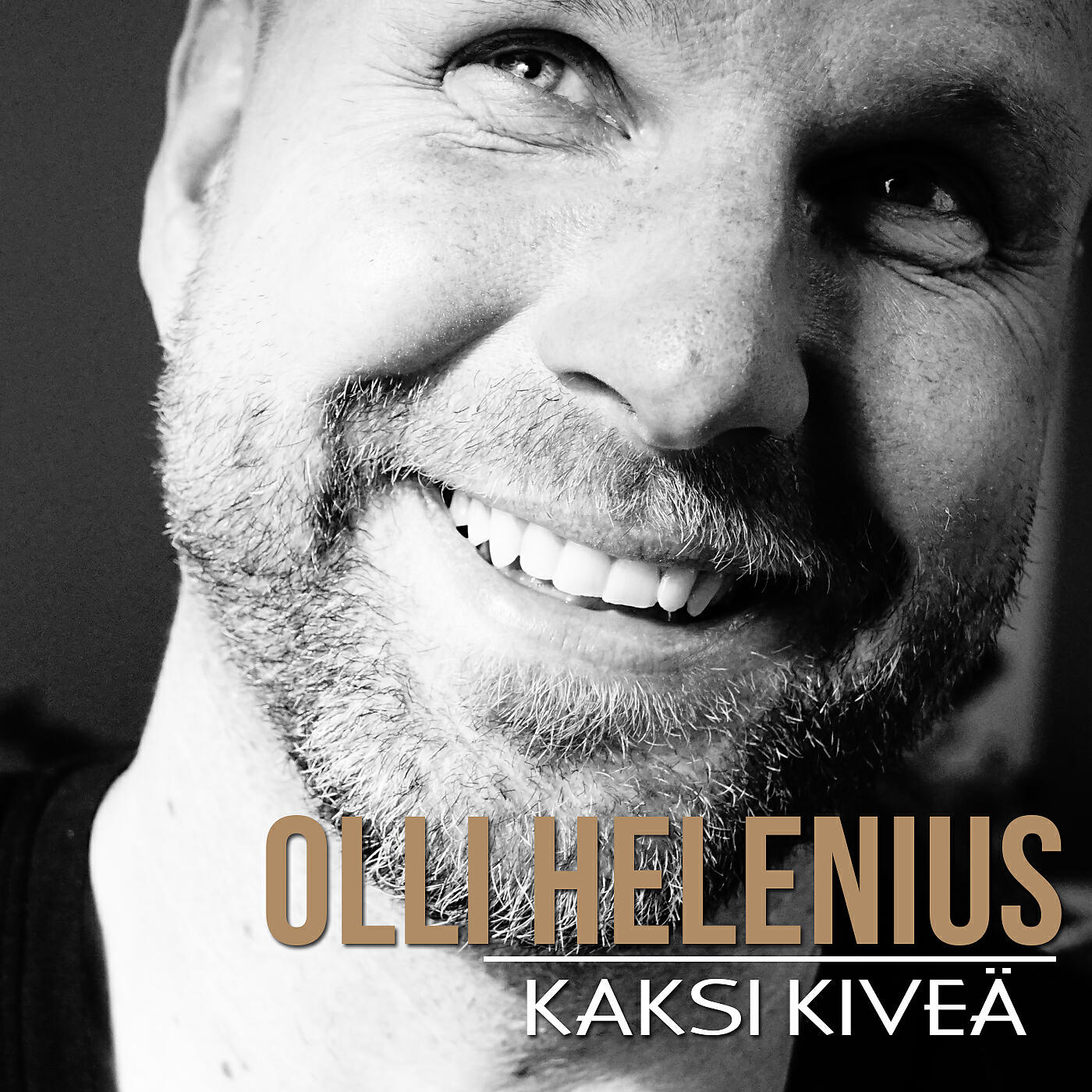 Релиз Kaksi kiveä
