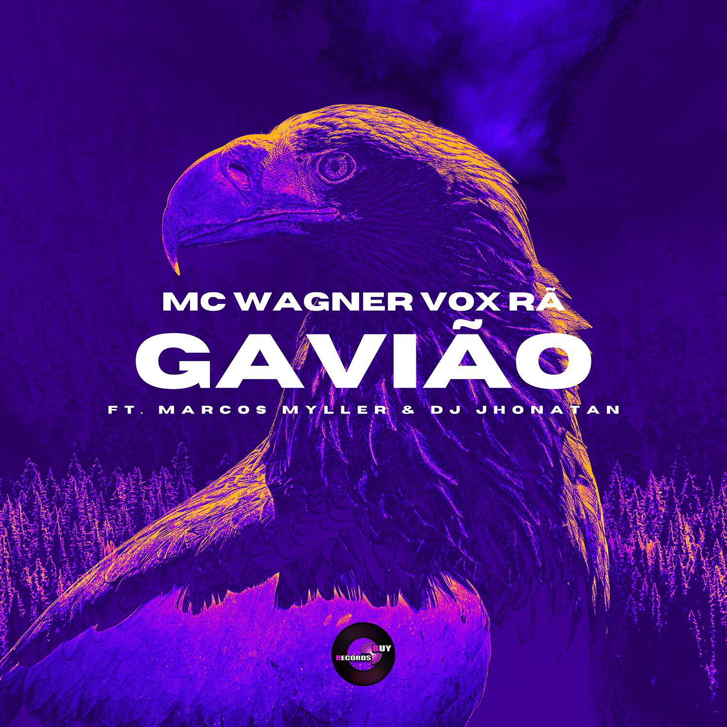Релиз Gavião