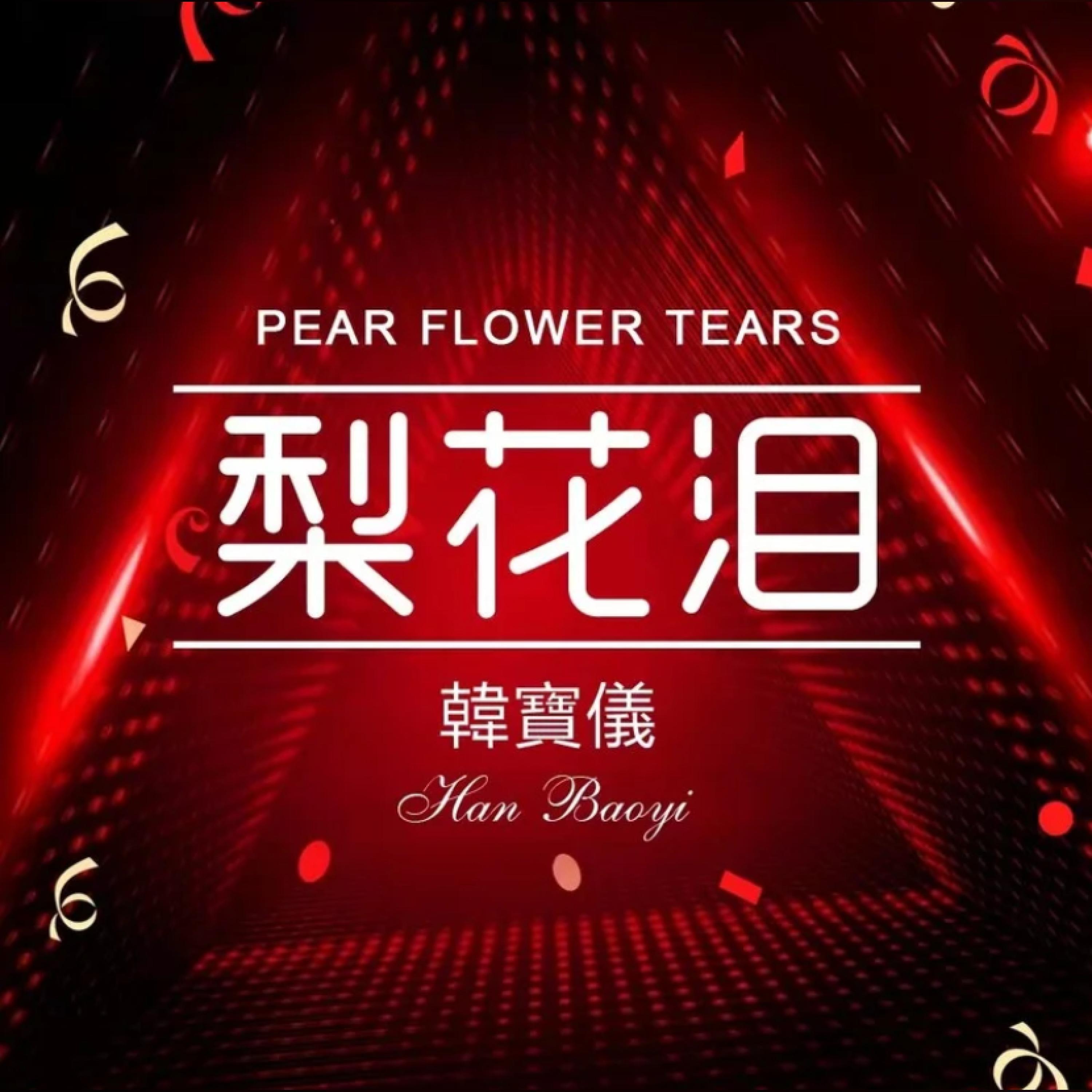 Релиз 梨花泪