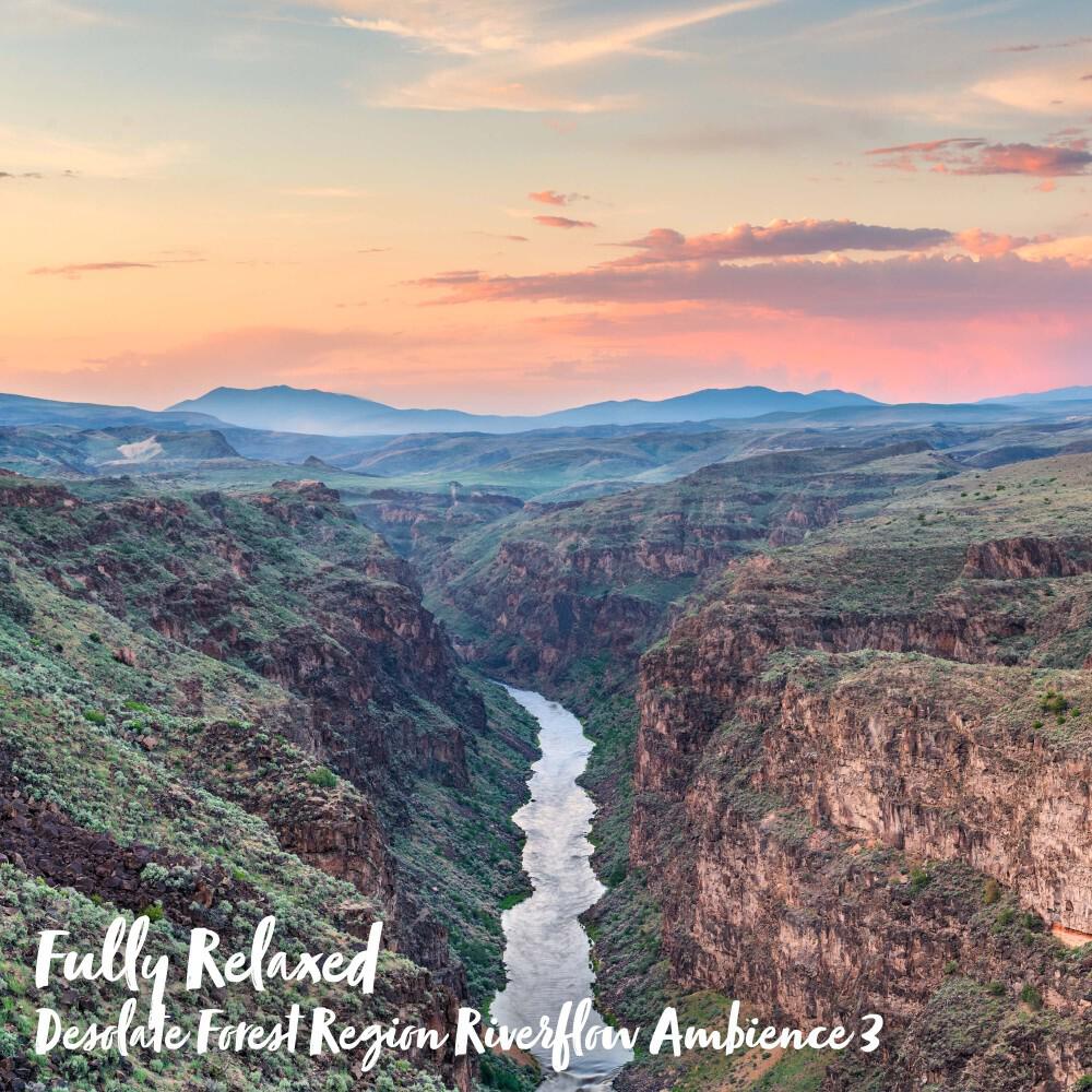 Релиз Fully Relaxed: Desolate Forest Region Riverflow Ambience 3