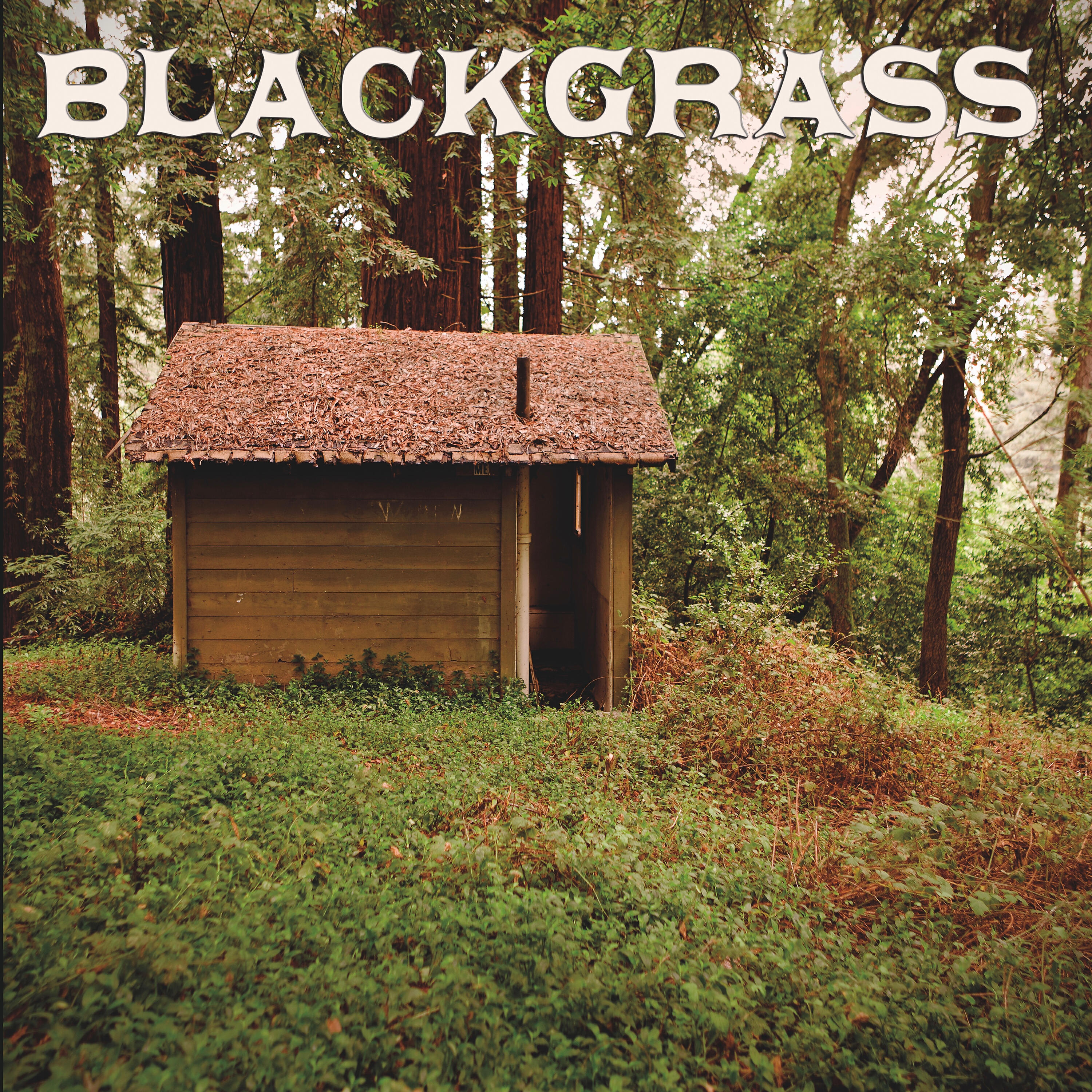 Релиз Earl Lee Grace: Blackgrass