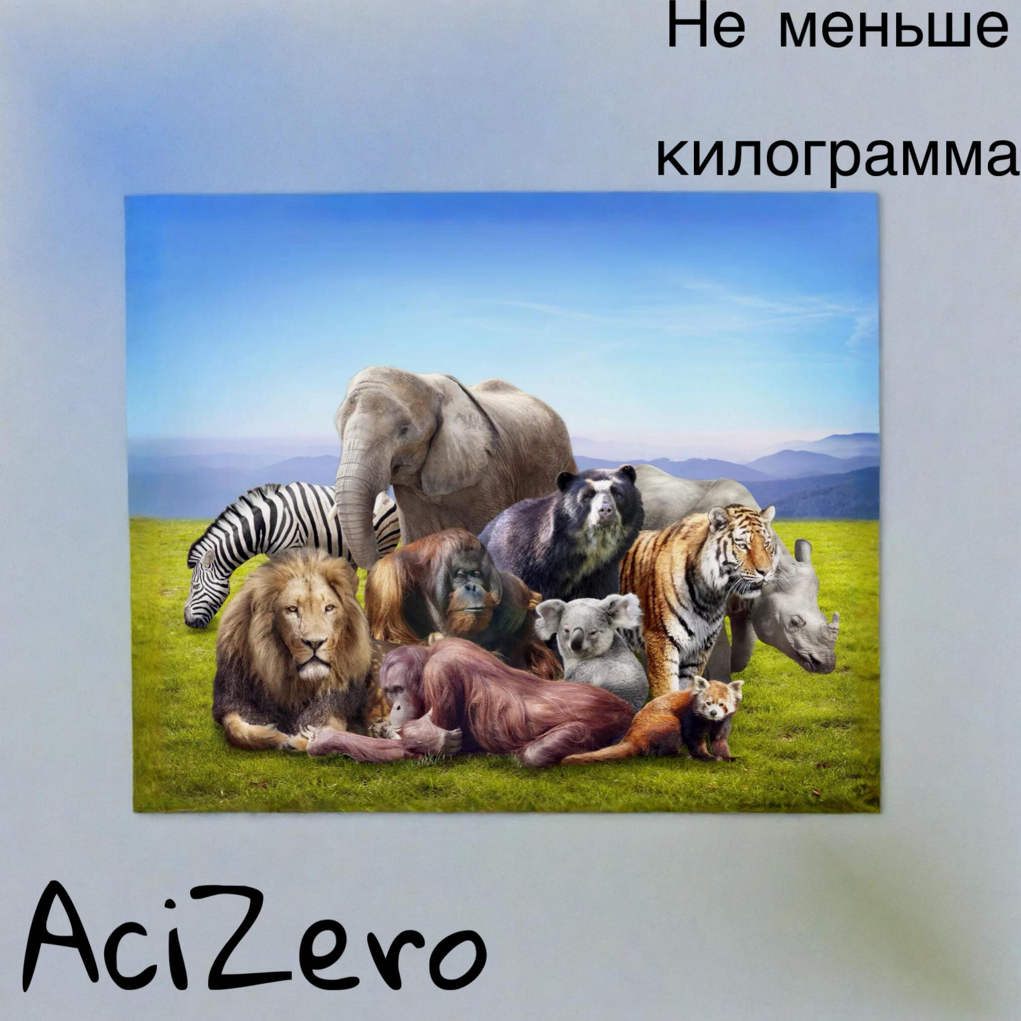AciZero