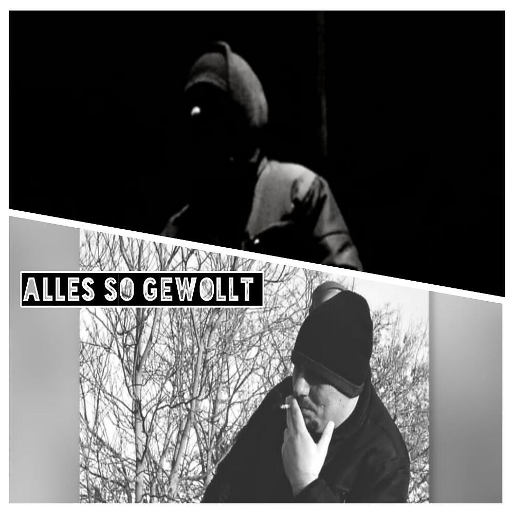 Релиз Alles so gewollt
