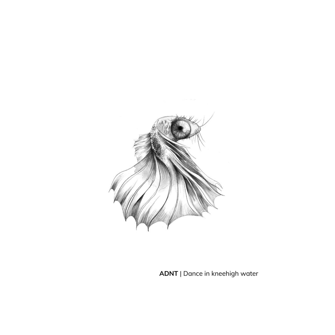 Релиз Dance in Knee High Water