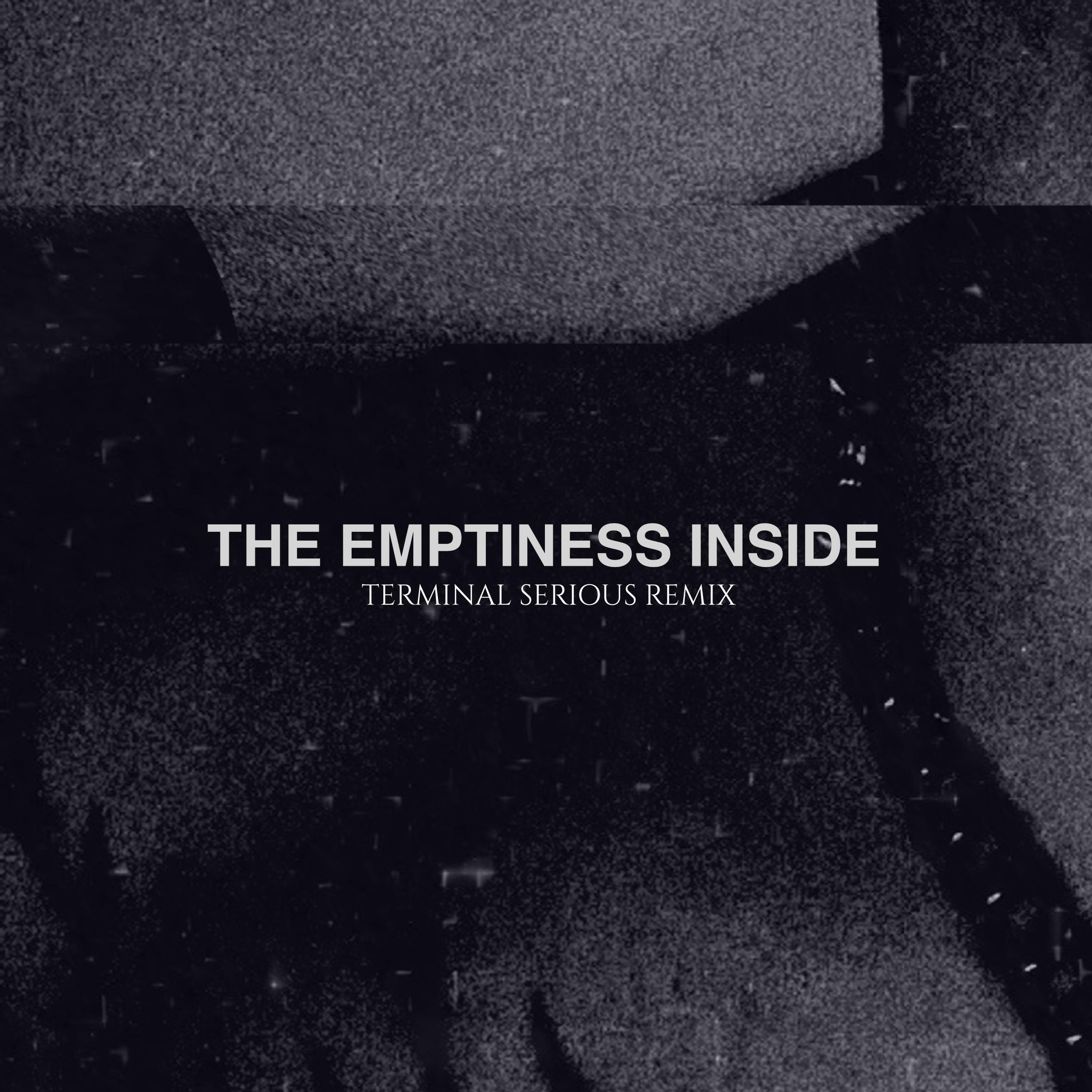 Релиз The Emptiness Inside (Terminal Serious Remix)