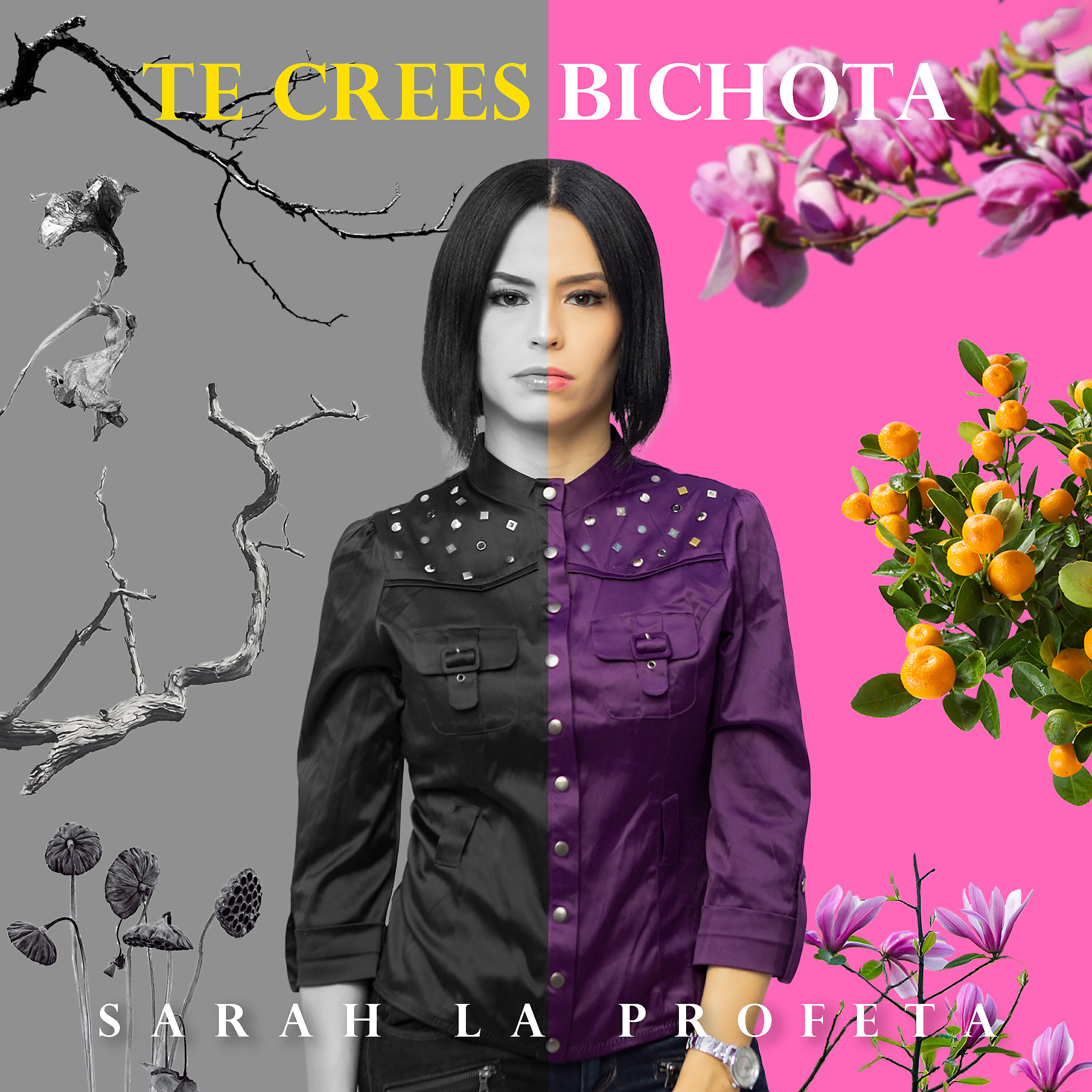 Релиз Te Crees Bichota