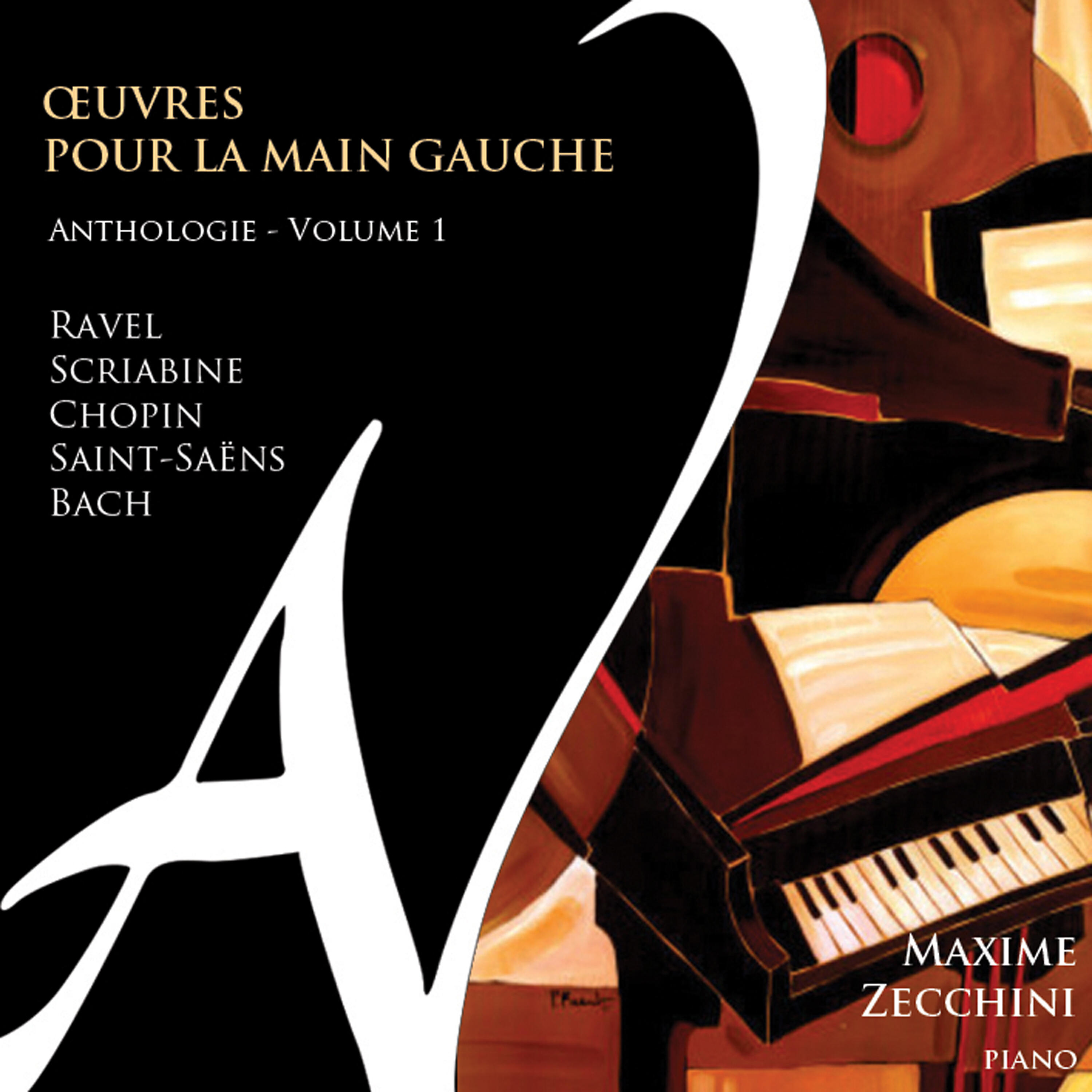 Релиз Œuvres pour la main gauche - Anthologie, Vol. 1