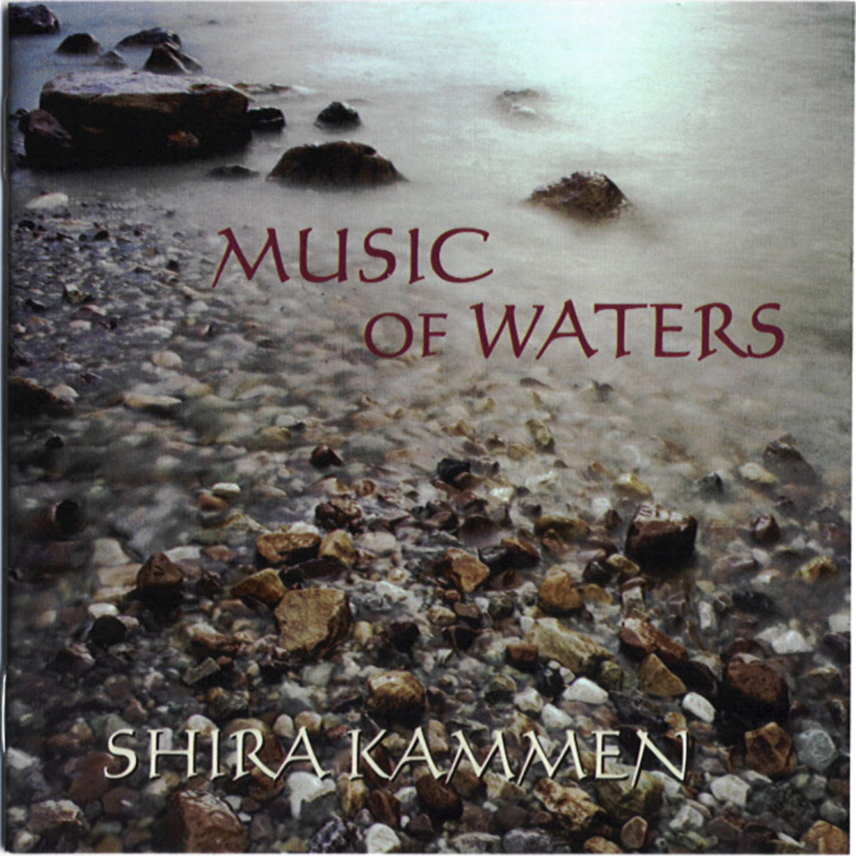 Релиз Music of Waters