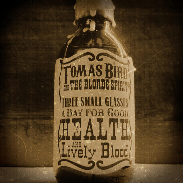 Tomas Bird