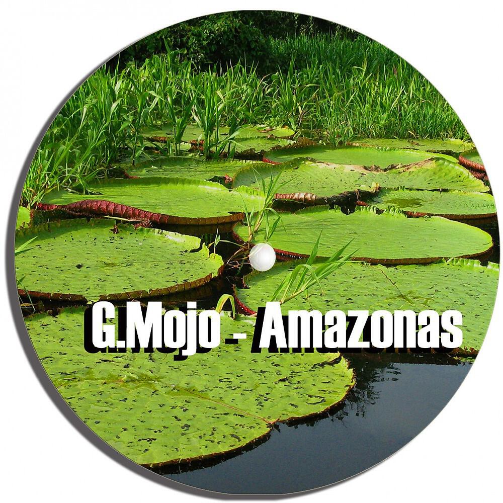 Релиз Amazonas