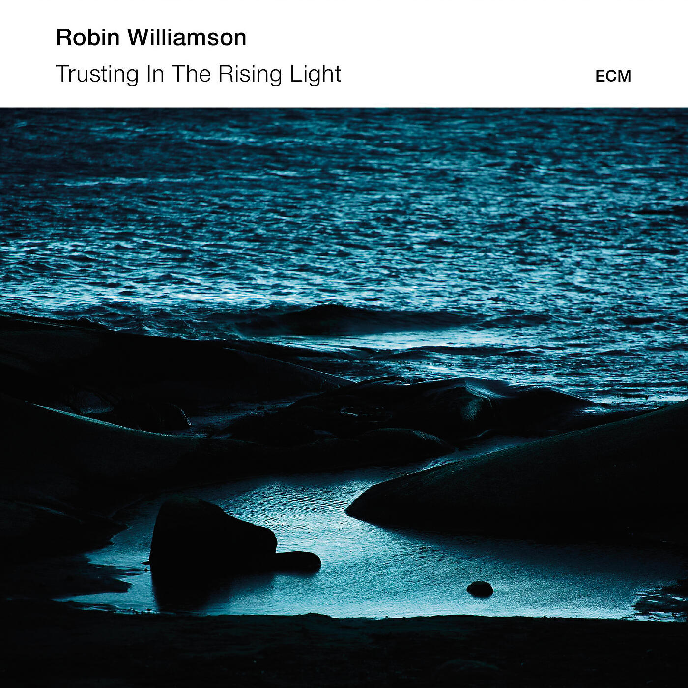Релиз Trusting In The Rising Light