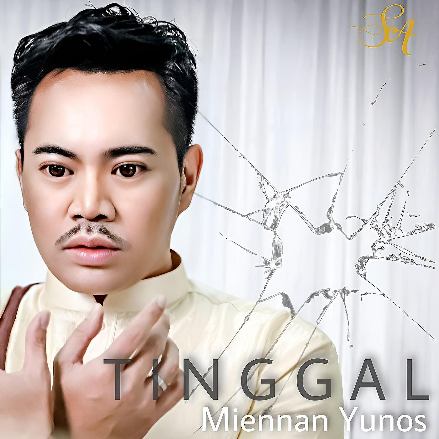 Релиз Tinggal
