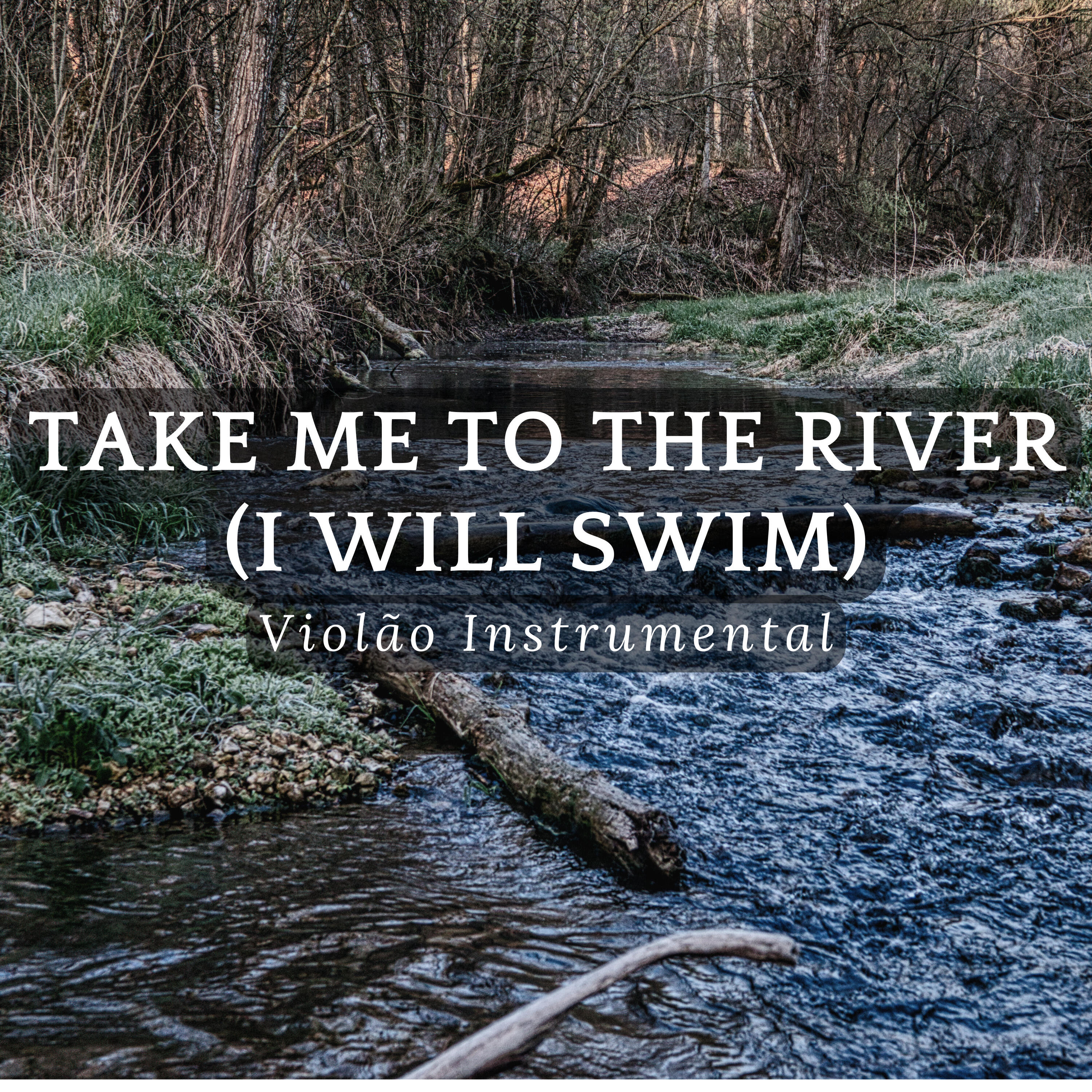 Релиз Take Me to the River (I Will Swim)