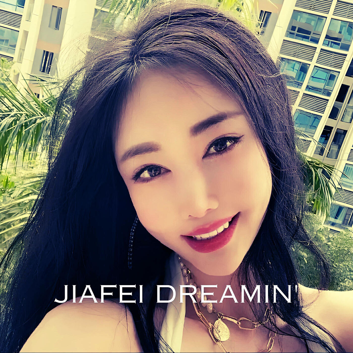 Постер альбома Jiafei Dreamin'