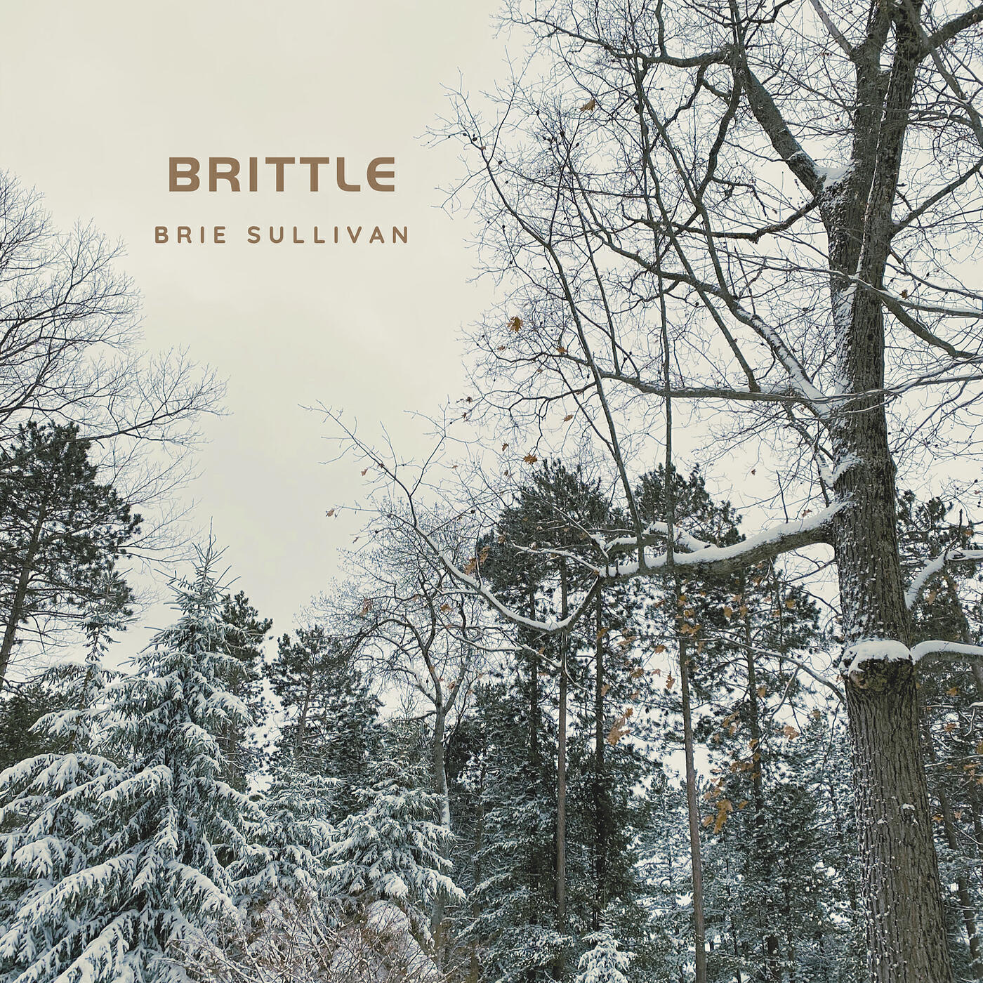 Релиз Brittle