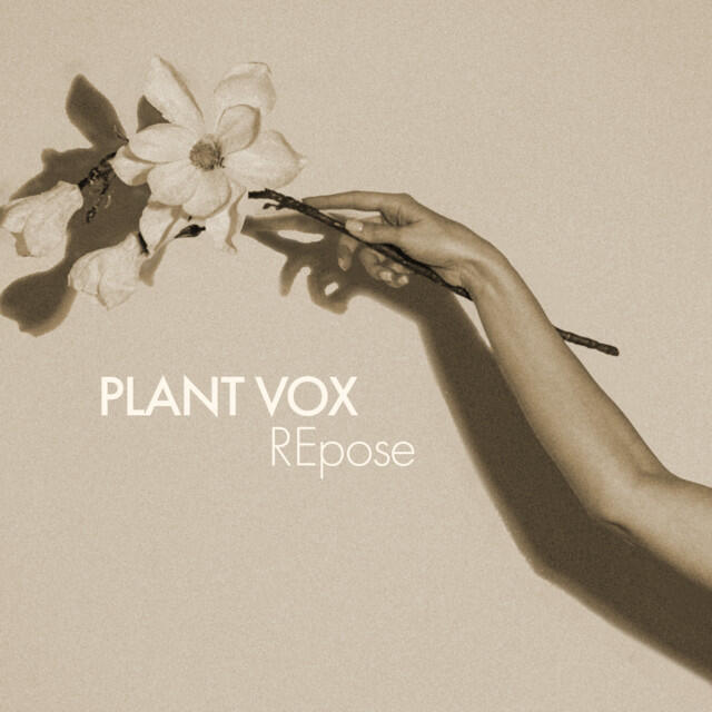 Релиз REpose