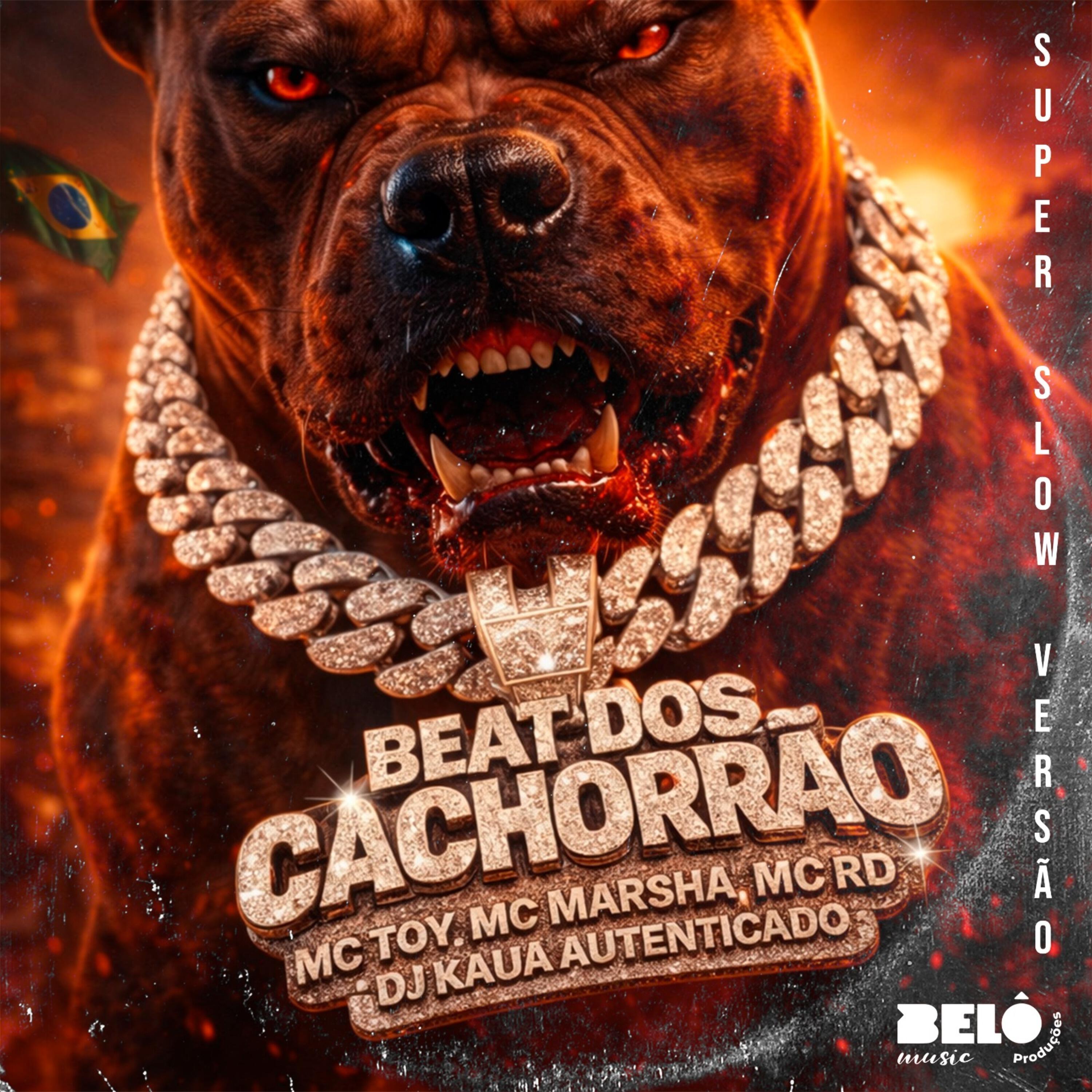 Dj Kauã Autenticado