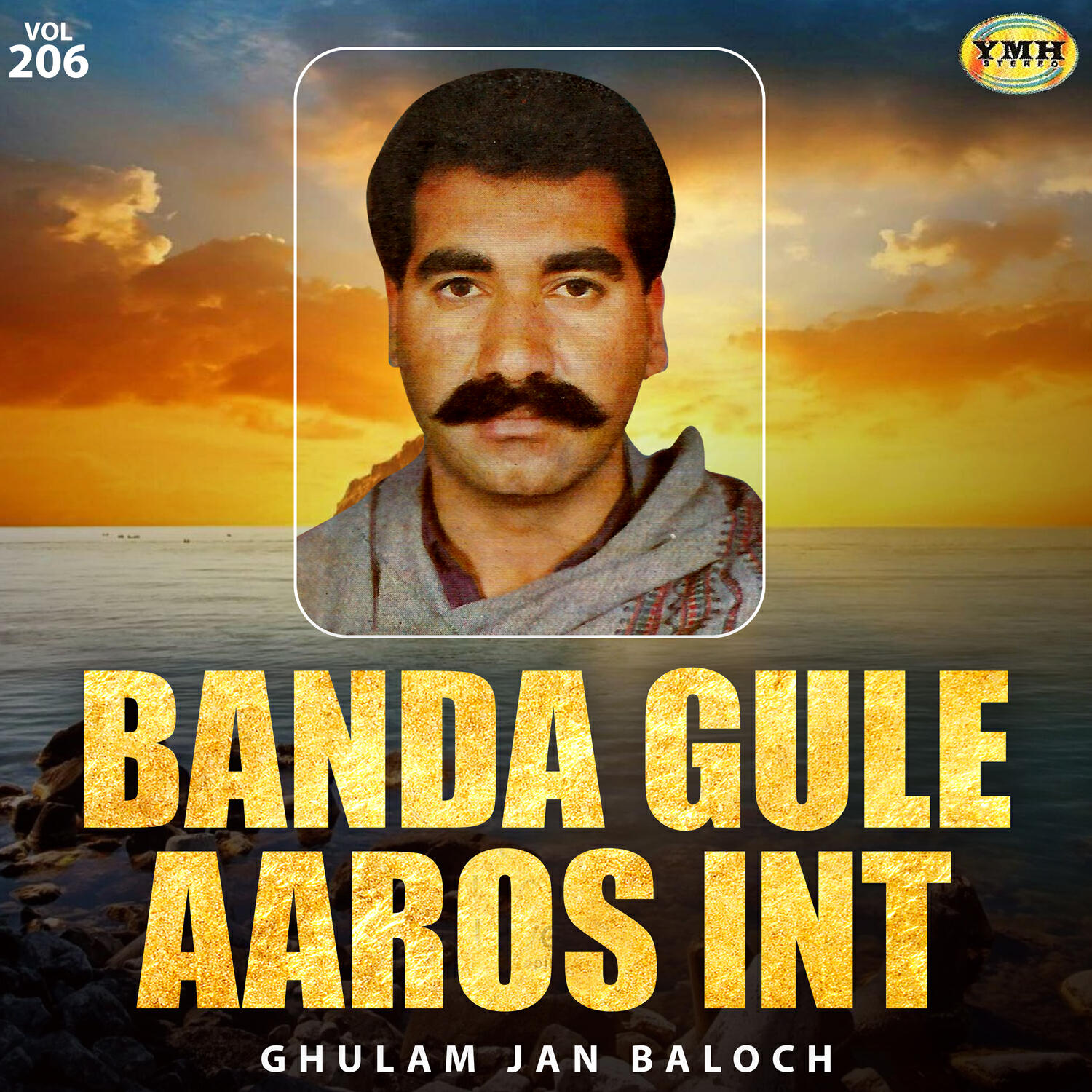 Релиз Banda Gule Aaros Int, Vol. 206