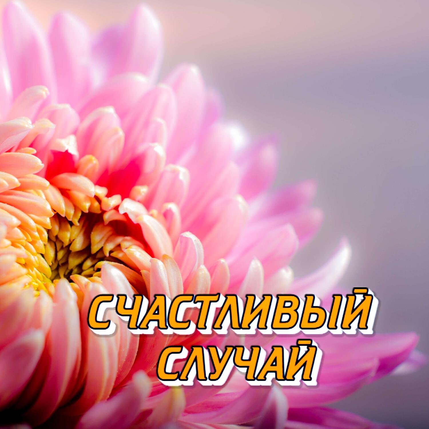 Релиз СЧАСТЛИВЫЙ СЛУЧАЙ