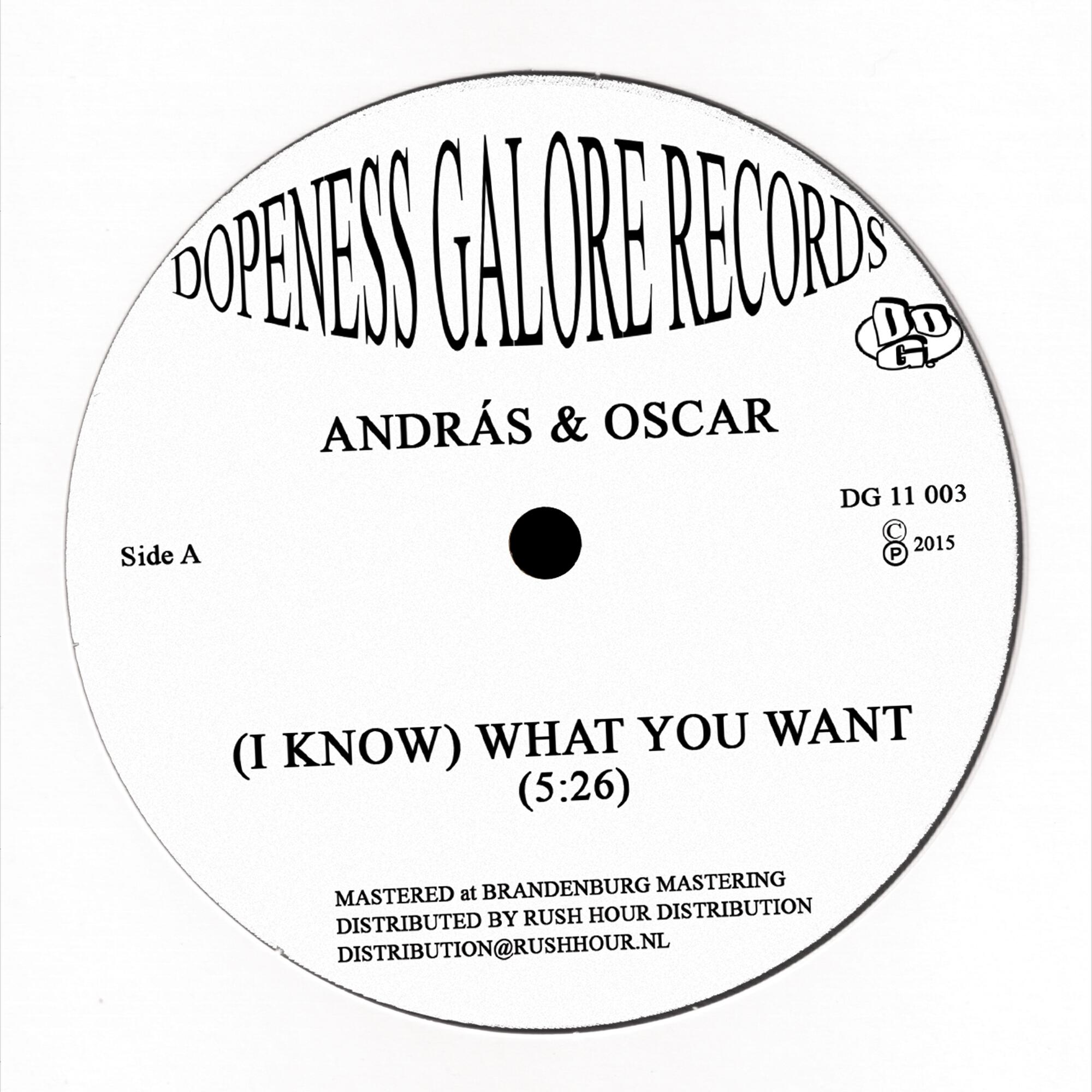 Релиз (I Know) What You Want