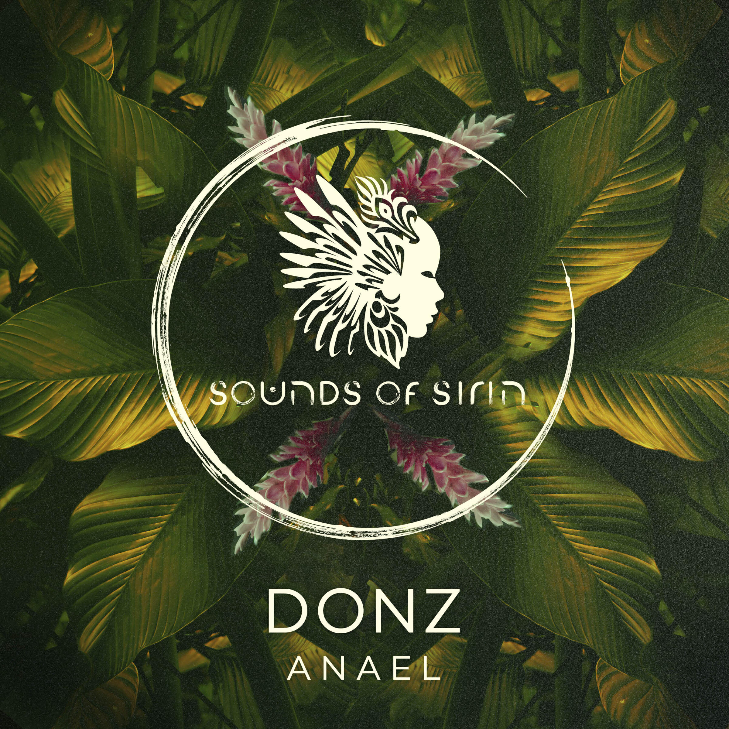 Релиз Anael