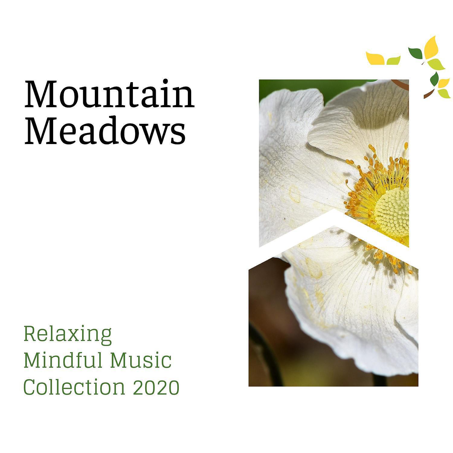 Релиз Mountain Meadows - Relaxing Mindful Music Collection 2020