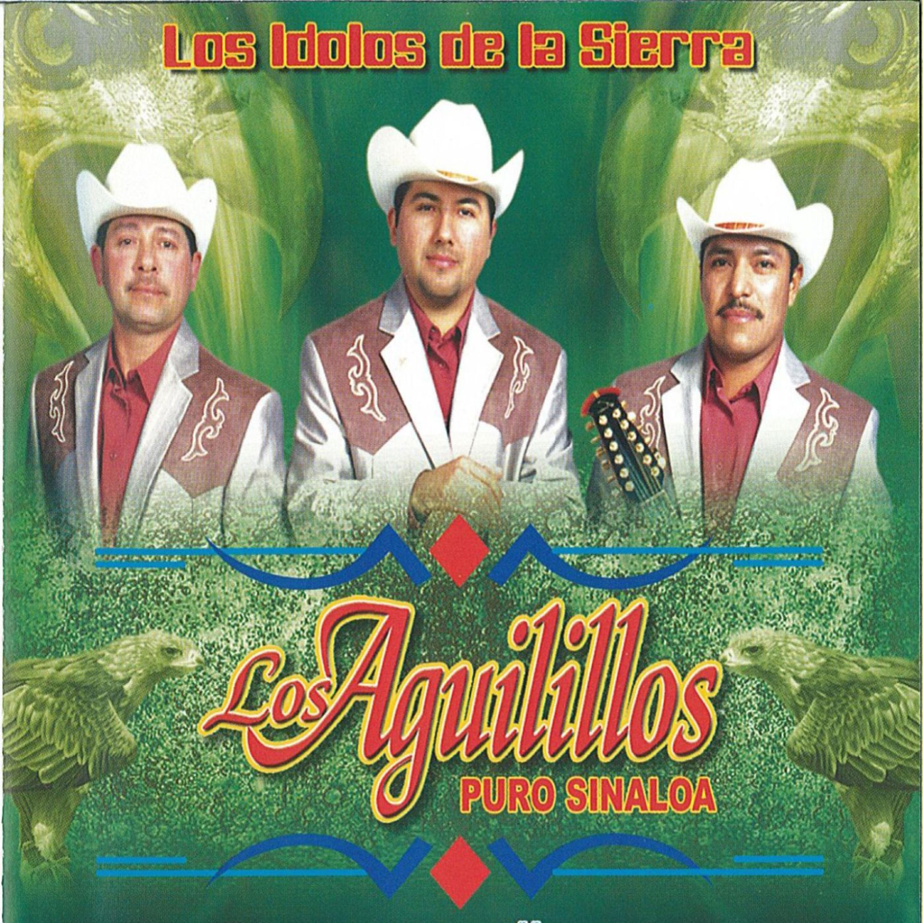 Los Aguilillos