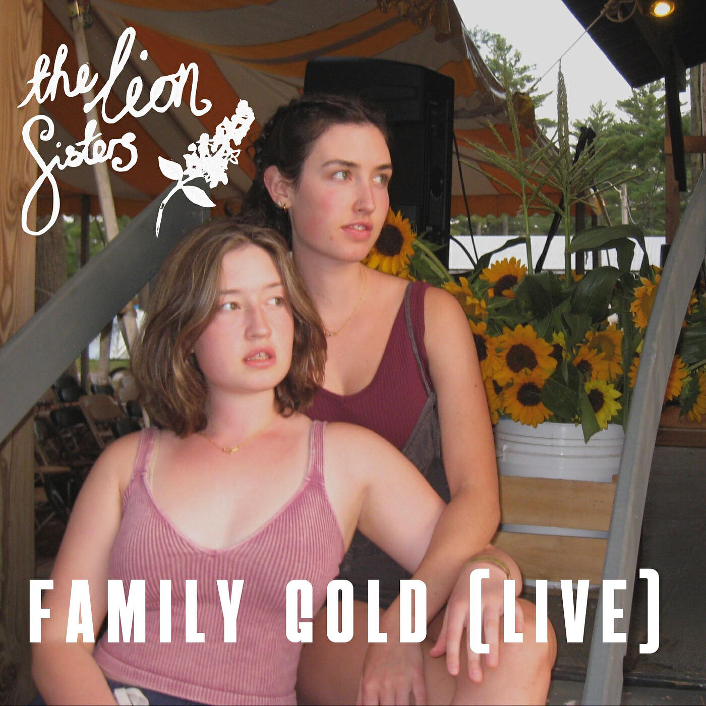 The Lion Sisters