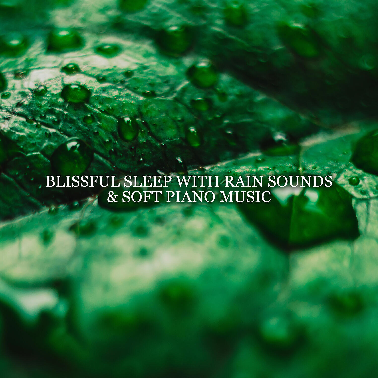 Релиз Blissful Sleep with Rain Sounds & Soft Piano Music – Dream Time Music, Piano Lullabies, Music for Deep Sleep, Tension Release, Tranquility, Healing Sounds of Rain