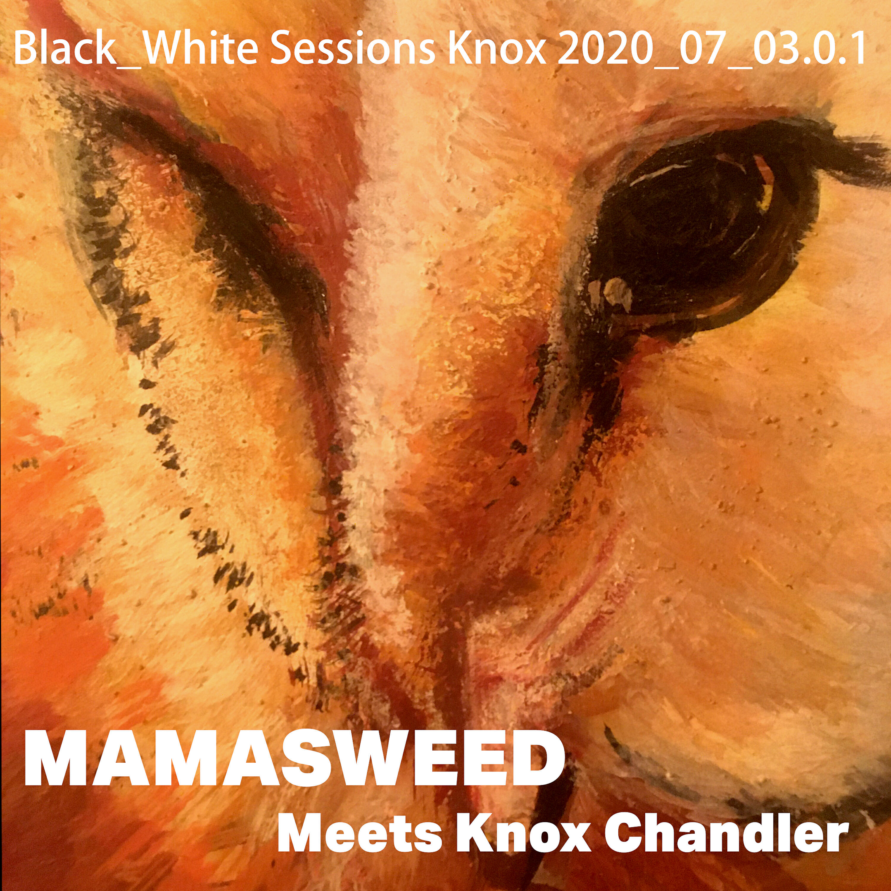Релиз Black_White Sessions Knox 2020_07_03.0.1