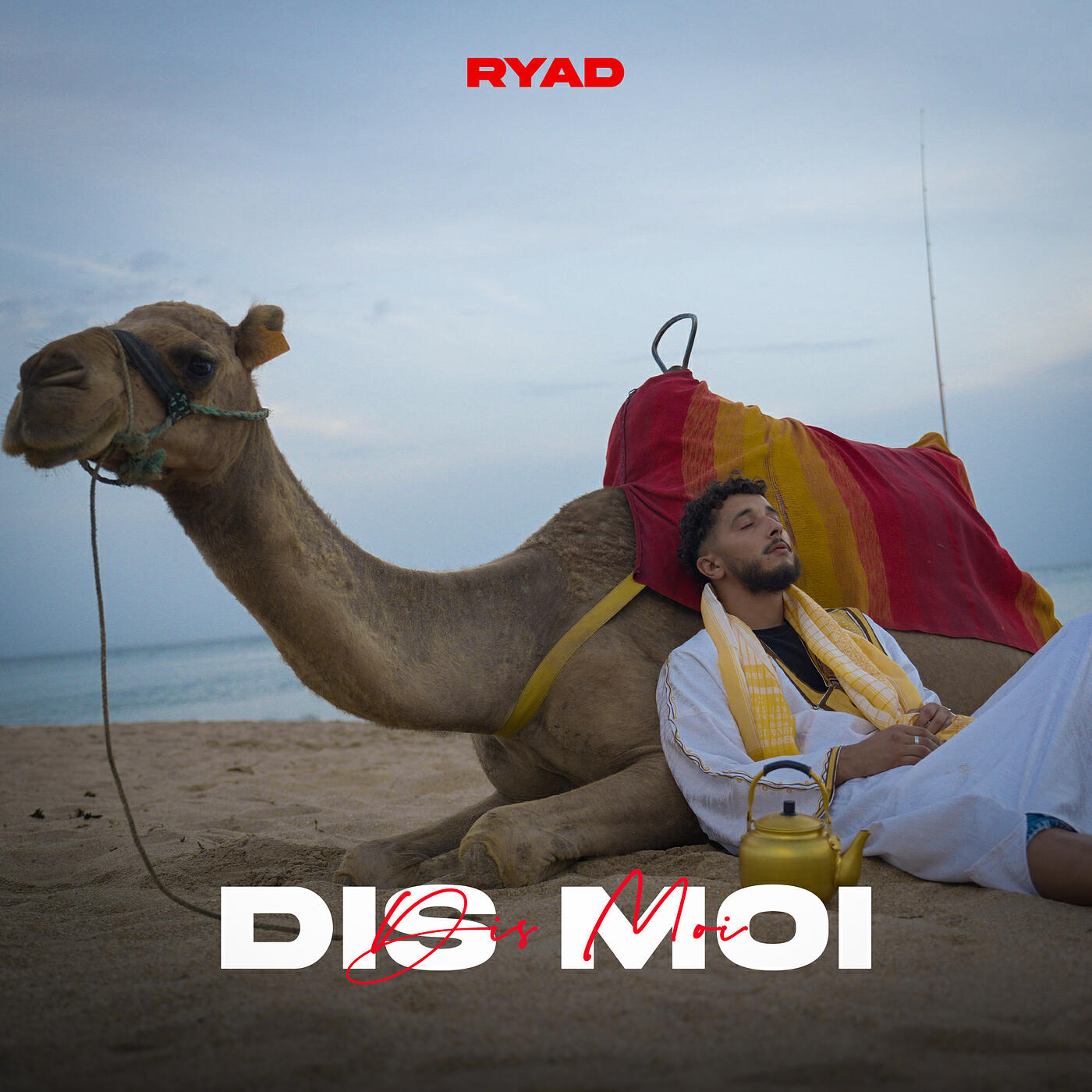 Релиз Dis moi